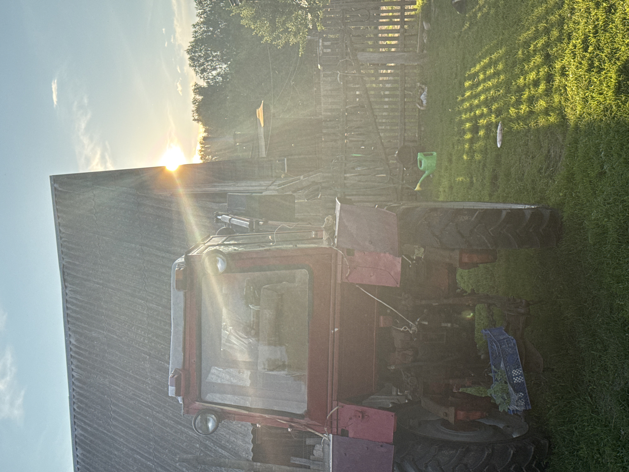 In Вассята, Russia, a red tractor with a weathered appearance is parked on a grassy area in front of a rustic wooden building. The sun is setting, casting long shadows and a warm glow across the scene. The tractor's cab is visible, with some items inside. A blue plastic crate containing green plants is attached to the rear of the tractor. To the right of the tractor, a wooden fence encloses a yard where a green watering can and a person lying down can be seen. The overall atmosphere suggests a rural, tranquil evening.