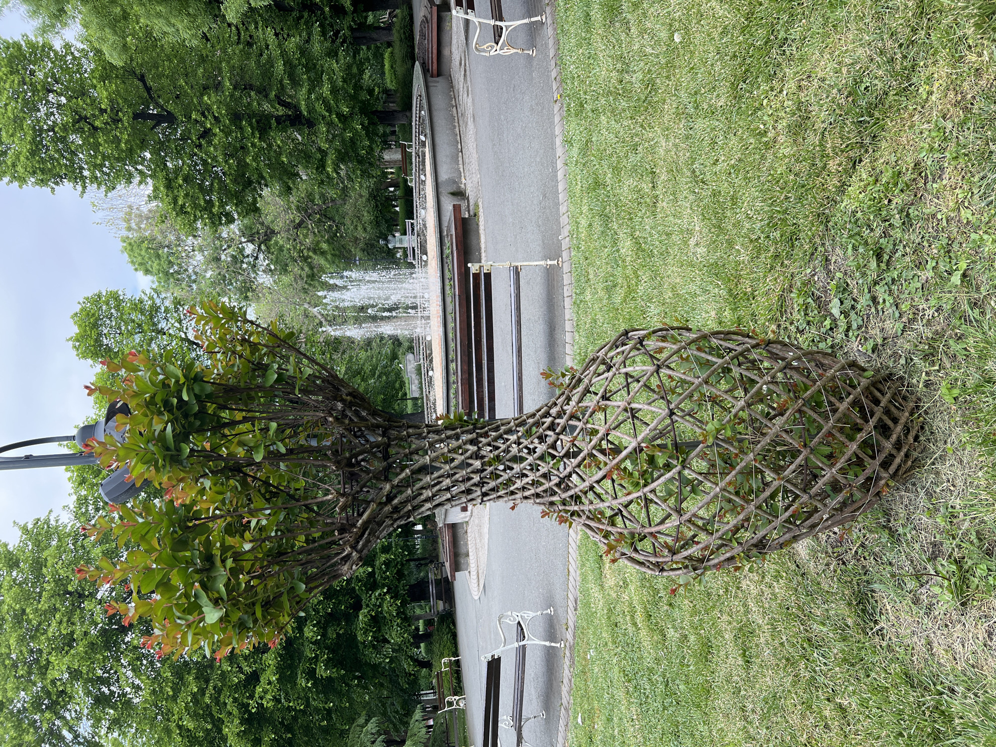 The image shows a twisted, cage-like sculpture around a tree with green leaves, positioned in a park in Burgas, Bulgaria. In the background, there is a fountain and a walkway with benches. The ground is covered in grass and the weather appears to be sunny. The photograph is rotated ninety degrees counterclockwise.