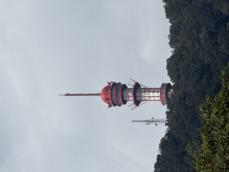 A tall, red and silver tower stands prominently against a gray sky, partly obscured by a dense green forest. The tower has a bulbous top and a lattice-like support structure. Another, smaller antenna-like structure is visible in the background between the tower and the trees. Green foliage is visible in the lower right corner of the image.