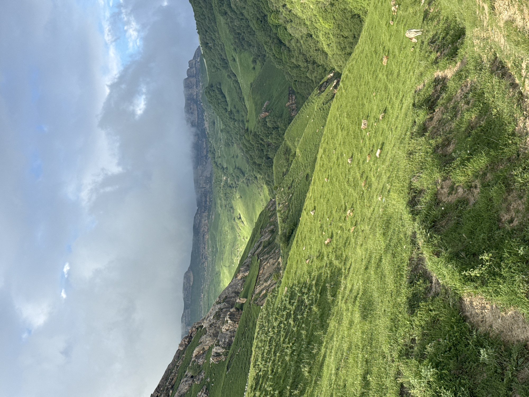 A vast, rolling green landscape under a cloudy sky dominates the frame, with a lone light-colored animal, possibly a cow or goat, visible in the lower right foreground. The scene depicts rolling hills covered in lush green grass, with rocky outcrops and steep slopes on the left side of the image. Further in the distance, more verdant, tree-covered hills descend into a valley. The sky above is filled with thick, gray clouds with patches of blue sky visible in between, suggesting a dynamic weather system. The overall impression is one of a natural, mountainous terrain, likely in a rural or undeveloped area. Without further information or context, it is impossible to confirm the location as Верхняя Мара, Russia based solely on the visual evidence in the image.