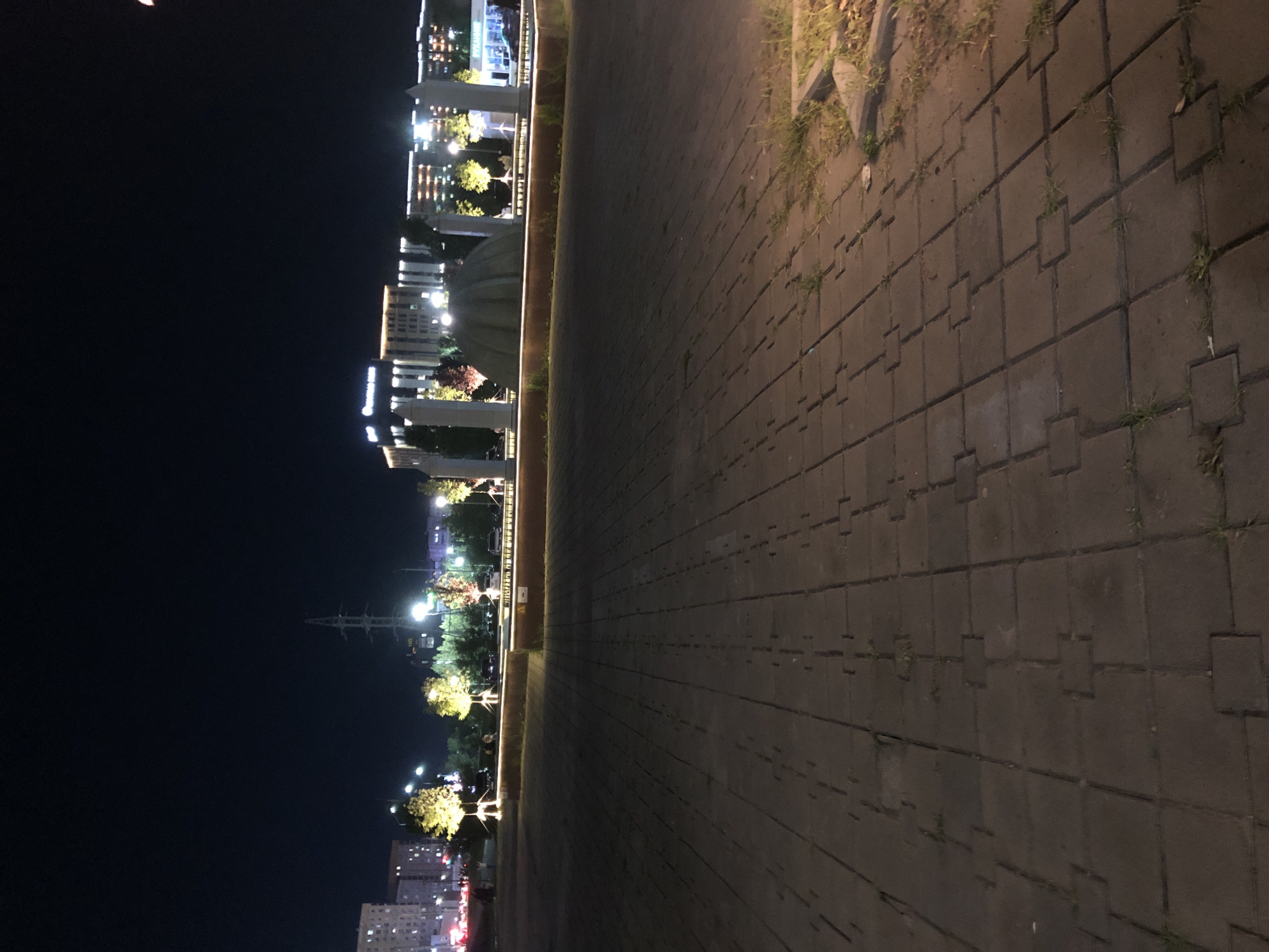 An outdoor nighttime scene captures a paved walkway in the foreground. In the mid-ground, a raised planter with illuminated trees borders a fountain or sculpture. Beyond that, modern buildings with numerous lit windows and a towering electrical pylon are visible. The sky is dark.