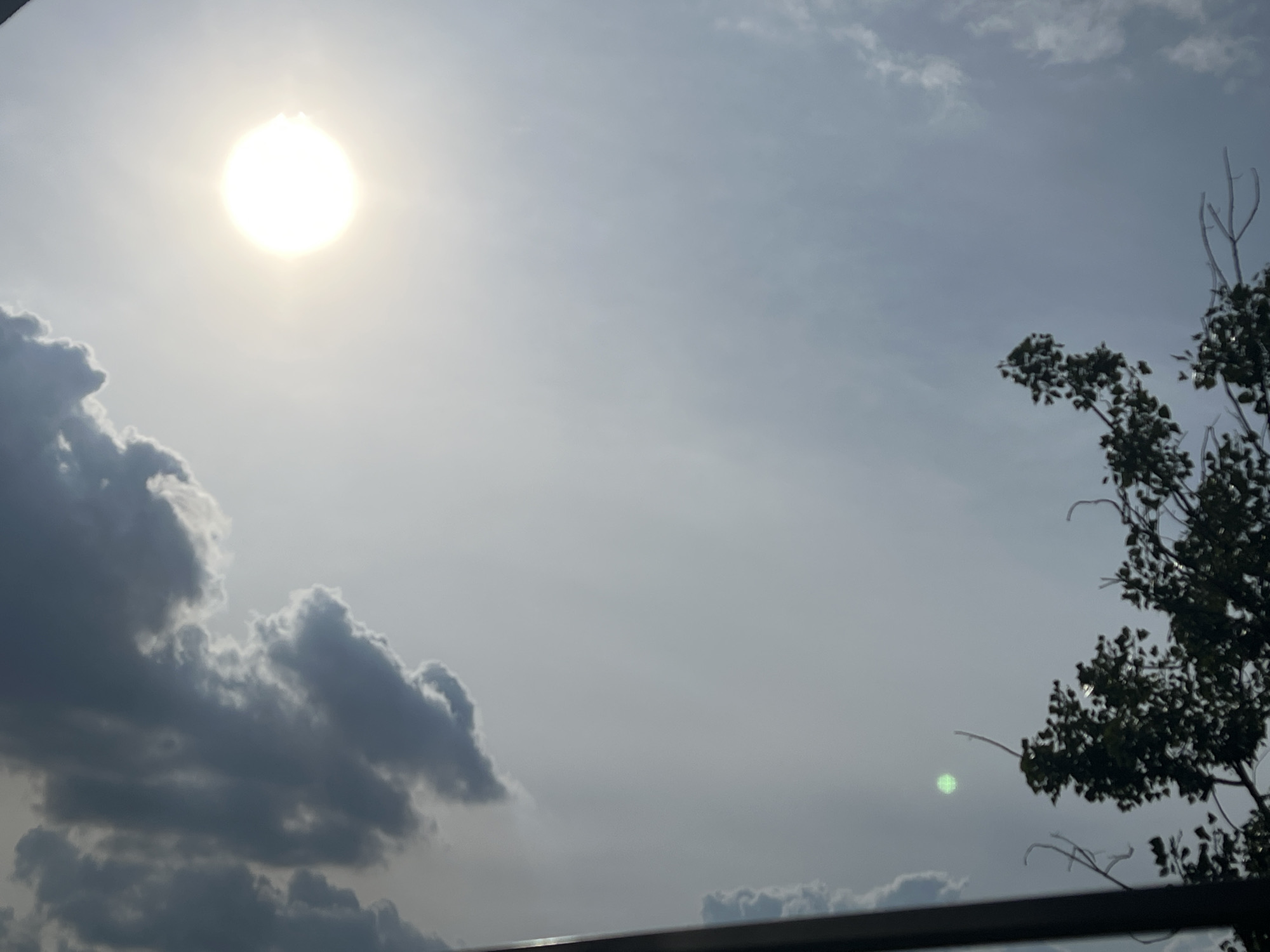 The image shows a sky with sun and clouds. The sun is a bright, glowing orb on the left side of the frame. Dark, puffy clouds are visible in the lower left quadrant. On the right side, a tree with dark green foliage and bare branches extends into the frame from the right edge. A small, circular green lens flare is present in the sky between the tree and the sun. The overall impression is a natural outdoor scene. The prompt specifies Warsaw, Poland, but there are no identifiable landmarks or features in the image that would confirm or deny this location.