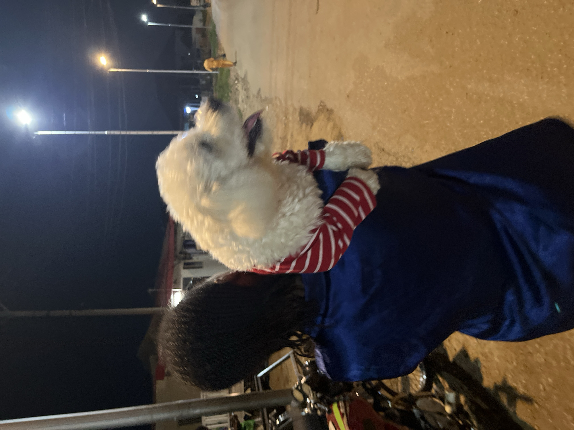 In Abuja, Nigeria, at night, a person is holding a white dog. The person, viewed from the back, is wearing a dark blue garment and has dark hair. The dog, facing to the right with its mouth open, is wearing a red and white striped garment. The environment appears to be a street with streetlights illuminating the scene. In the background, a person in an orange outfit is walking away down the street, and there are buildings and vegetation visible. A motorcycle is parked on the left side of the frame.
