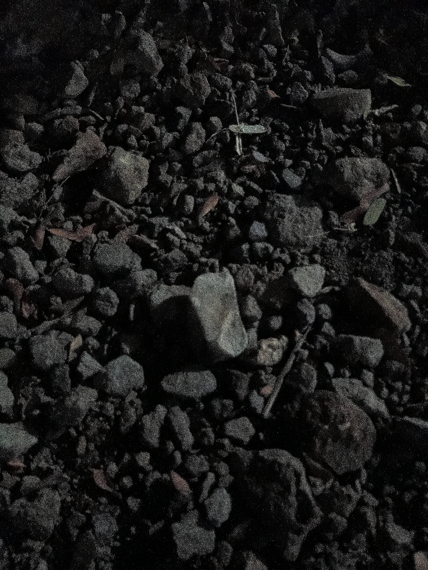 The image depicts a close-up, overhead view of dark, rough ground covered in small to medium-sized dark gray and black rocks, interspersed with some dried, reddish-brown leaves and thin twigs. The lighting is dim, casting deep shadows that obscure finer details of the terrain. The texture of the rocks appears varied, with some smooth and rounded, while others are irregular and angular. The ground itself seems to be a dark soil or dirt base. There are no people or animals visible in the image. The scene suggests an outdoor, natural environment, possibly a pathway, garden, or undeveloped area. The reference to "Cikal, Indonesia" provides a geographical context for this scene.