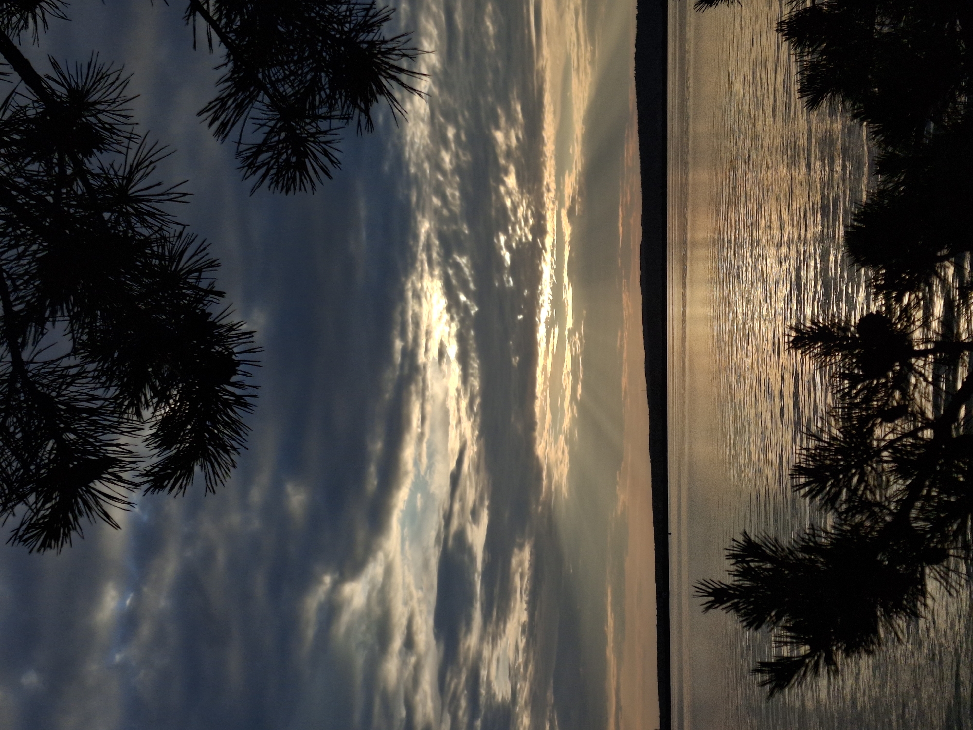 The image shows a sunset over the Kama River in Chaikovsky, Russia. Silhouetted pine branches frame the scene from the top and bottom. The sky is filled with dramatic clouds, with shafts of sunlight breaking through and reflecting on the rippling water. A dark, tree-lined shore is visible in the distance. There are no people or visible structures apart from what appears to be a distant buoy or marker in the water.