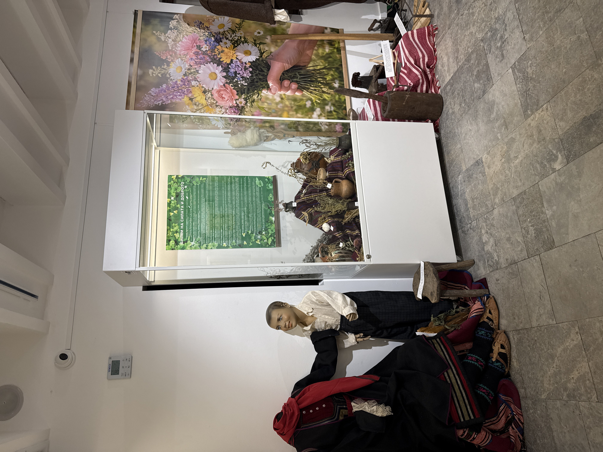 The image depicts a display inside a museum, likely the "House of Humour and Satire" in Gabrovo, Bulgaria, given the context of the building's architecture and the nature of the exhibits. In the foreground, to the left, is a mannequin dressed in traditional Bulgarian clothing, featuring a black outer garment with red and striped accents on the sleeves and skirt. A red scarf is draped around the neck. To the right of this figure, a child mannequin stands, wearing a light-colored, striped shirt and dark trousers.
The central focus of the image is a large, illuminated glass display case. Inside, various items are arranged, including what appear to be dried herbs, pottery, and woven fabrics, presented on a patterned textile. A green poster with text in Bulgarian, likely detailing medicinal herbs, is mounted on the back wall of the display case.
To the right of the display case, a large, vibrant poster of a hand holding a bouquet of colorful flowers is visible. Further to the right, elements of another display are visible, including what seems to be a mannequin in a brown coat, a wooden tool, and a striped red and white cloth. The floor is tiled with large, grey rectangular tiles. On the wall above the display case, a digital thermostat is mounted, showing a temperature of 20.8 degrees Celsius, and a security camera. The ceiling is white with visible beams.