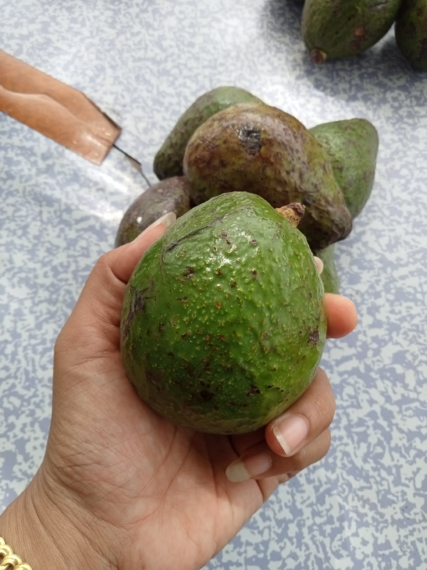 In Matangsijuek Timur, Indonesia, a hand holds a ripe avocado, its bumpy green skin speckled with darker blemishes. The avocado is the primary subject, its texture and color captured in sharp focus. In the background, a cluster of similar avocados rests on a patterned surface, possibly a table or countertop. A portion of a wooden utensil is visible on the left, partially obscured by the avocados. The environment suggests an indoor setting, perhaps a kitchen or a market stall, given the presence of produce and the general lighting. The overall impression is one of freshness and natural bounty.