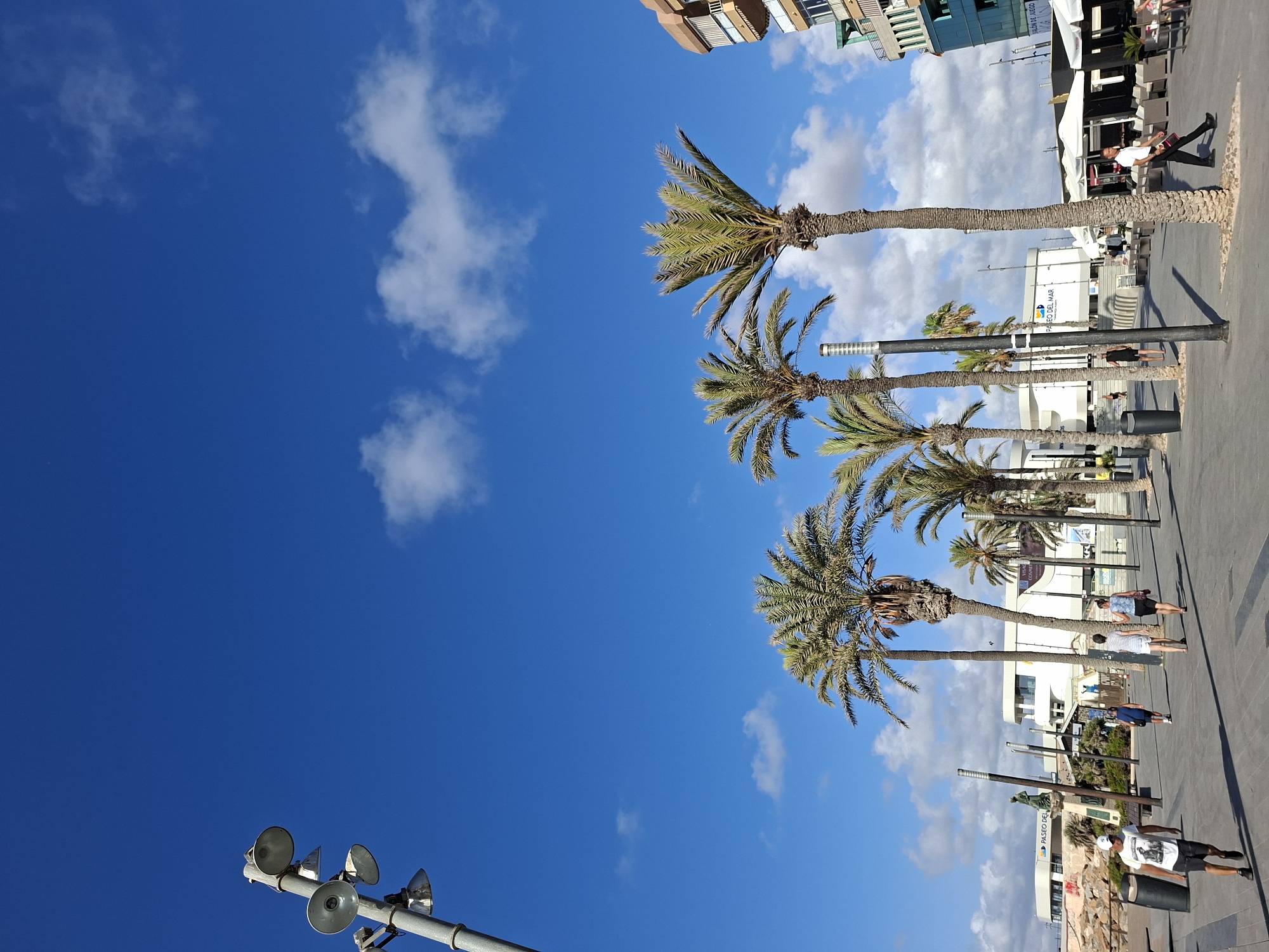 The image depicts a sunny day in Torrevieja, Spain, likely along the waterfront promenade. The sky is a vibrant blue with scattered white clouds. In the foreground, a man wearing a white t-shirt and dark shorts walks on a paved walkway. To his right, several palm trees are visible, some with thick trunks and lush green fronds.
Further down the walkway, other individuals are seen strolling, including a couple walking away from the camera and a man in a dark blue shirt and shorts. In the background, there are modern buildings, some appearing to be shops or restaurants with outdoor seating areas covered by white awnings. A tall lamppost with multiple lights stands to the left of the frame. The architecture suggests a coastal tourist area.