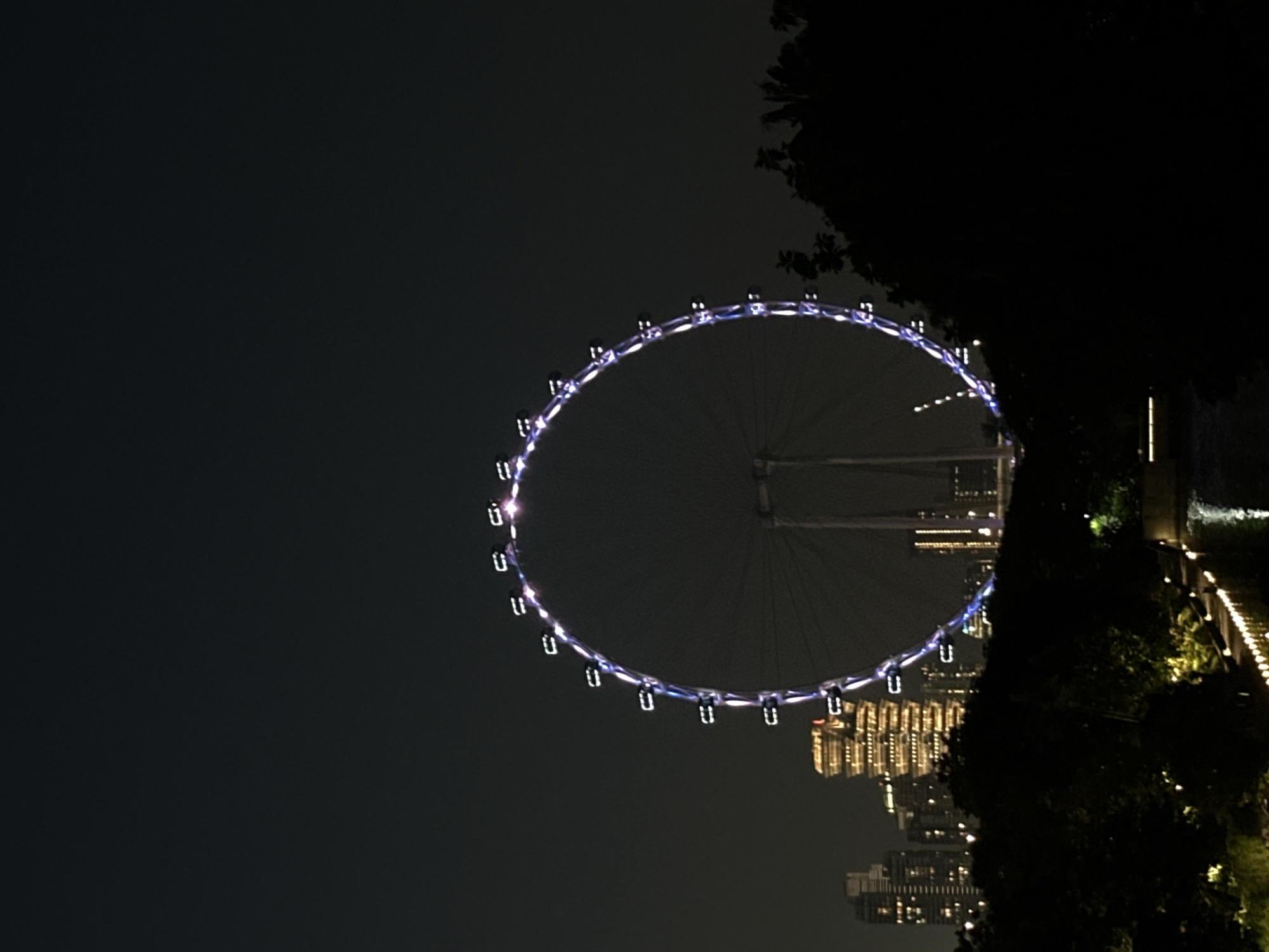 The image captures a nighttime view of the Singapore Flyer, a giant observation wheel, illuminated with blue and white lights. The wheel is prominently positioned in the center of the frame against a dark sky. In the background, the city skyline is visible, featuring illuminated skyscrapers, including a uniquely shaped building with horizontal lighting. In the foreground, dark silhouettes of trees and foliage obscure the lower part of the scene, with a hint of a body of water and a path lined with lights visible to the left. The overall ambiance is that of an urban nighttime landscape.