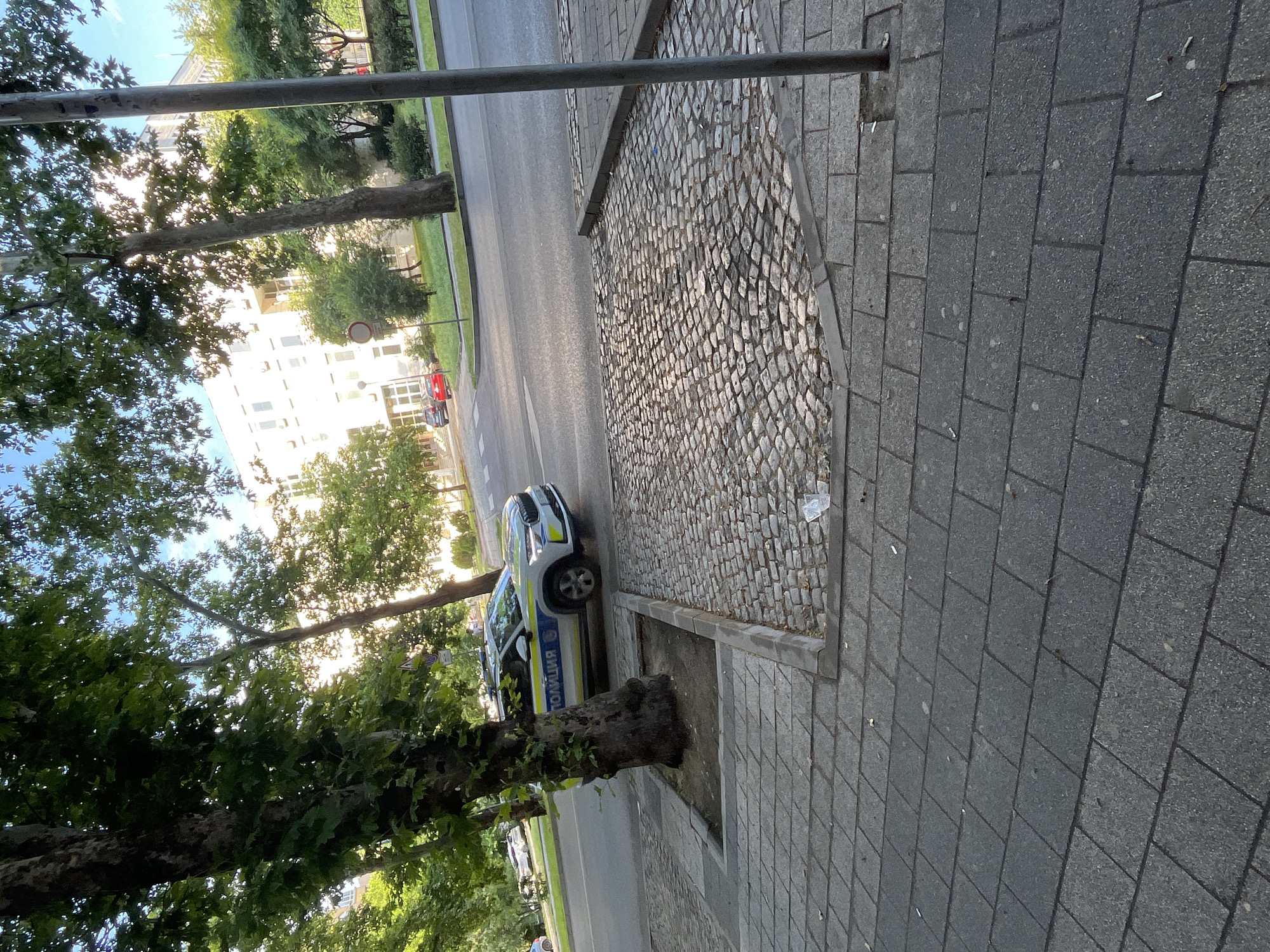 This image depicts an urban street scene in Plovdiv, Bulgaria, under bright daylight, likely late morning or afternoon given the lighting and shadows.
In the immediate foreground, a dark grey sidewalk composed of rectangular paving slabs is visible, featuring scattered litter including cigarette butts and small plastic fragments. To the right of the paving slabs, a distinct section of grey cobblestone pavement occupies the central-right foreground. A grey metal pole is vertically positioned on the far right, embedded within the paving. To the left, a square tree planter with exposed soil surrounds the base of a large, mature deciduous tree.
The midground features an asphalt road, appearing to be a one-way street or half of a divided boulevard. A white Skoda Kodiaq SUV, clearly identifiable as a Bulgarian police vehicle with blue and yellow reflective stripes and the Cyrillic word "ПОЛИЦИЯ" (POLITSIYA) on its side, is moving from left to right across the frame. Its blue emergency lights on the roof are visible. Further down the road, behind the police vehicle, a red sedan and a darker vehicle are partially visible, either parked or in motion.
The background is dominated by lush green foliage from numerous large trees, obscuring some details. A prominent, light-colored, multi-story building with numerous rectangular windows is visible through the trees on the far side of the road. This building's architecture is consistent with a public or administrative institution, specifically resembling the Plovdiv Regional Court building or a similar structure in the city center. A circular red traffic sign with a white horizontal bar is partially visible behind the trees, in front of the building. The sky above is clear and bright blue.