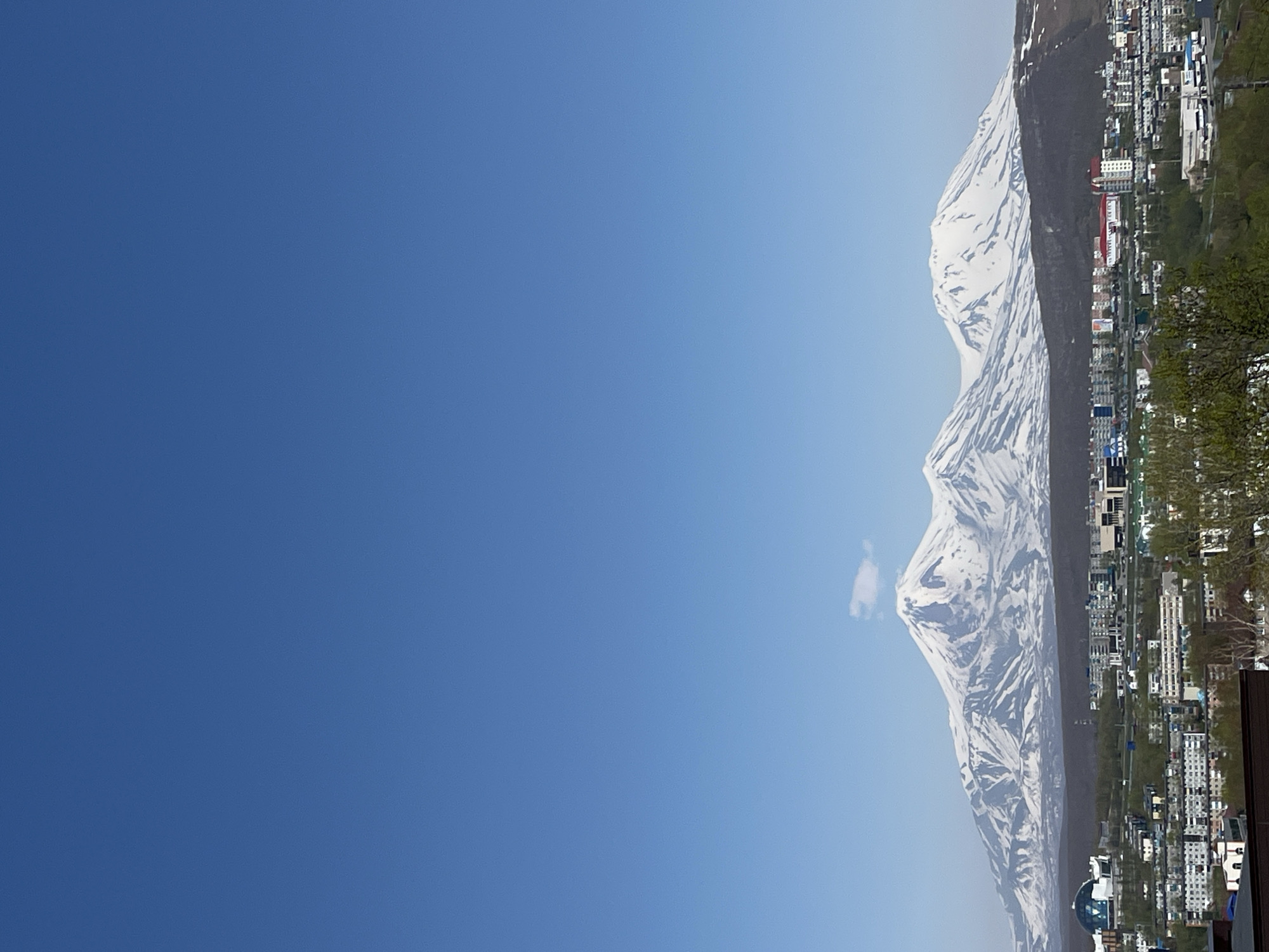 The image displays an elevated panoramic view of Petropavlovsk-Kamchatsky, Russia, under a clear, cloudless blue sky, except for a solitary white cloud wisp above the leftmost volcano. Three prominent, snow-capped stratovolcanoes dominate the mid-ground: Koryaksky on the left, characterized by its conical peak and the aforementioned cloud; Avachinsky in the center-right, presenting a more rugged, broader profile; and Kozelsky on the far right, also snow-covered. White snow covers the upper and middle slopes of these volcanoes, with dark, exposed rock visible closer to their bases.
A dark, verdant ridge or low mountain range forms a transitional band between the towering volcanoes and the urban expanse below. The city of Petropavlovsk-Kamchatsky occupies the lower half of the frame, featuring numerous multi-story residential buildings, primarily apartment blocks, interspersed with green spaces and trees exhibiting fresh, spring foliage. A distinctive modern building with a prominent blue dome and glass facade is visible on the far left within the city's visible area. Various other structures, including buildings with colored roofs, are scattered across the urban landscape. The scene is illuminated by bright daylight. No human figures or discernible actions are present.