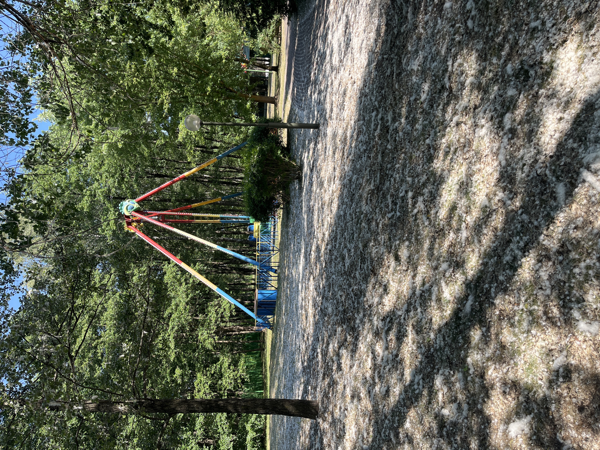 In an outdoor park setting, a large swing ride with brightly colored supports is visible in the background, surrounded by dense green trees. The ground in the foreground and mid-ground is covered in a thick layer of white fluff, likely from poplar trees, creating a textured carpet over the grass and pathways. Sunlight filters through the trees, casting dappled shadows on the fluff-covered ground. A dark tree trunk stands to the left, and a lamppost is positioned to the right of the swing ride. A paved pathway is visible on the far right. The scene suggests a natural park environment, possibly during springtime when poplar trees shed their fluff.