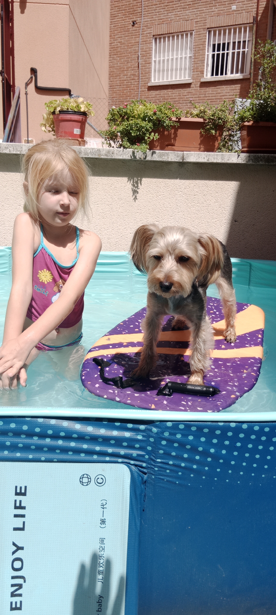 A young girl with blonde hair, wearing a pink swimsuit with a blue trim, sits in a small, inflatable pool filled with clear blue water. Her eyes are closed, and she appears relaxed. Beside her, a small Yorkshire terrier stands on a purple and orange surfboard. The dog has a light brown and gray coat and is looking directly at the camera with a slightly apprehensive expression. The surfboard is floating in the pool, and two black objects, possibly toys or accessories, are on its surface.
The background shows a wall with a tiled pattern and some potted plants on a ledge. Two windows with white bars are visible on a brick building above the ledge, suggesting an outdoor setting, likely a patio or balcony. The lighting indicates a sunny day, with shadows cast on the wall.
On the side of the pool, text is visible in light blue on a white background. The English text reads "ENJOY LIFE". Below this, in a different font and color, there are Chinese characters and the word "baby". The Chinese characters translate to "Children's space" and "(First generation)".
The overall scene depicts a summer day with a child and her dog enjoying a cool dip in the water. The mood is lighthearted and playful, despite the dog's uncertain look. The location cues, such as the Spanish tiles on the wall and the style of the building, combined with the mention of Galapagar, Spain, confirm the setting.