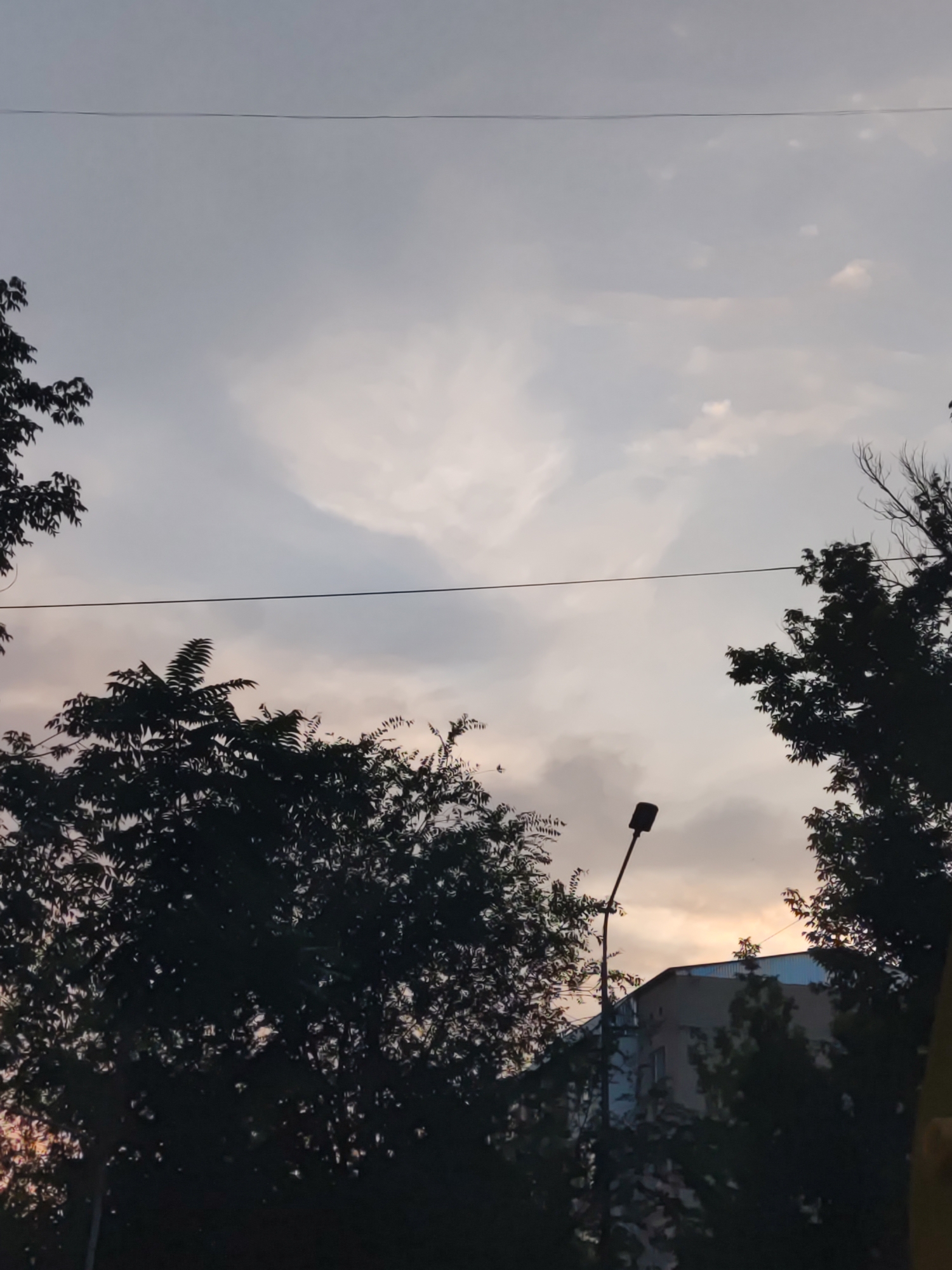 The image depicts a silhouetted view of trees and a building against a cloudy sky, likely during sunset or twilight, in the city of Shymkent, Kazakhstan. The foreground is dominated by the dark foliage of several trees, with branches extending across the frame. A single street lamp is visible on the right side of the image, its dark pole extending upwards. Behind the trees, a building with a light-colored facade and a blue roof is partially visible. A thin wire runs horizontally across the sky, intersecting the scene. The sky itself is filled with a mixture of grey and lighter clouds, with a hint of warm light suggesting the sun is low on the horizon. No people are visible in the image.