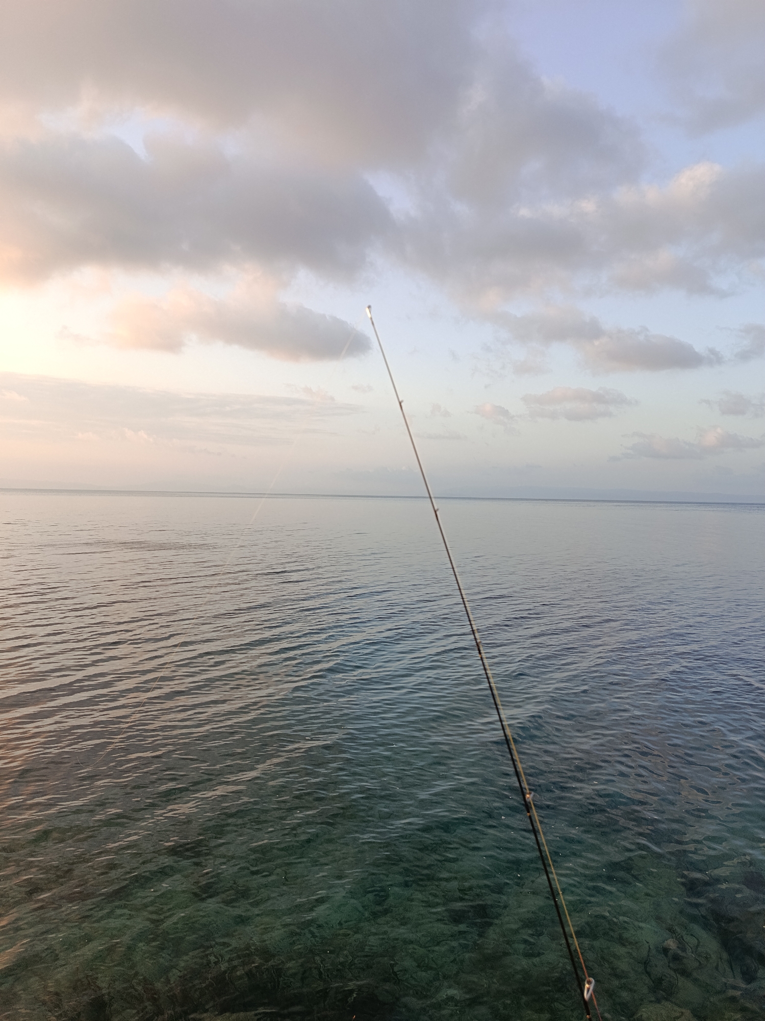 A fishing rod leans diagonally across the frame, casting a shadow on the clear, shallow water below. The rod is dark and thin, with a visible line extending into the water. The water itself is a translucent turquoise, revealing the rocky seabed beneath. The ocean stretches out to a distant horizon, where it meets a pale sky filled with soft, wispy clouds. The overall scene evokes a sense of calm and tranquility, possibly at sunrise or sunset, in the coastal city of Paisulamo, Indonesia. There are no people visible in the image.