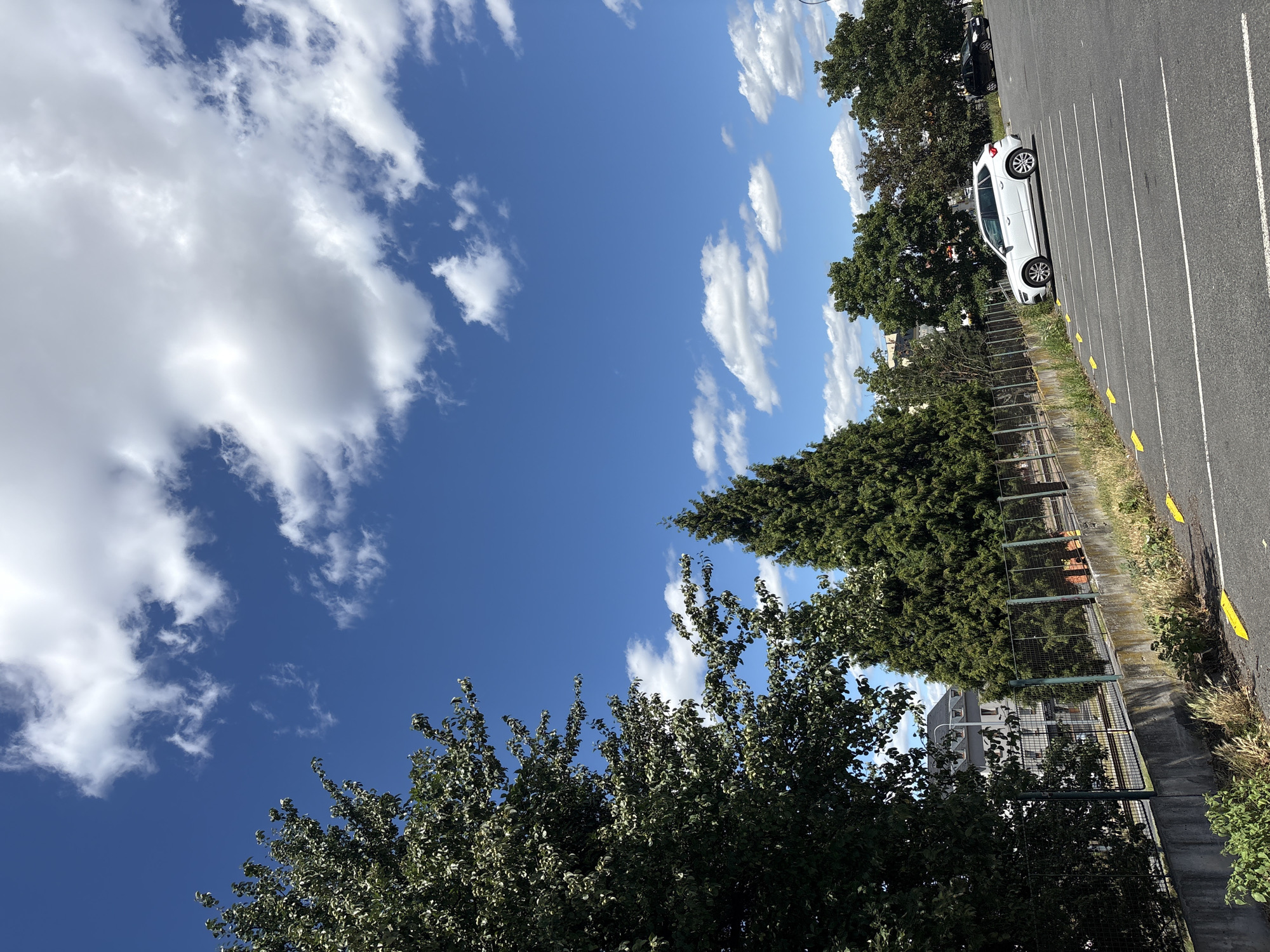 The image captures a parking lot on a clear day with a bright blue sky and scattered white clouds. In the foreground, asphalt paving lines mark individual parking spaces. Yellow triangular markers are visible along the edge of the parking lot. A white car is parked in one of the spaces, and a black car is parked further in the background. To the left, a tall green tree dominates the left side of the frame, with other trees and foliage lining a fenced-off area behind the parking lot. A building with a gray facade and a dark roof is partially visible behind the trees and fence. This scene is consistent with a typical urban parking lot, possibly in Pilsen, Czechia, given the architectural style of the building.
