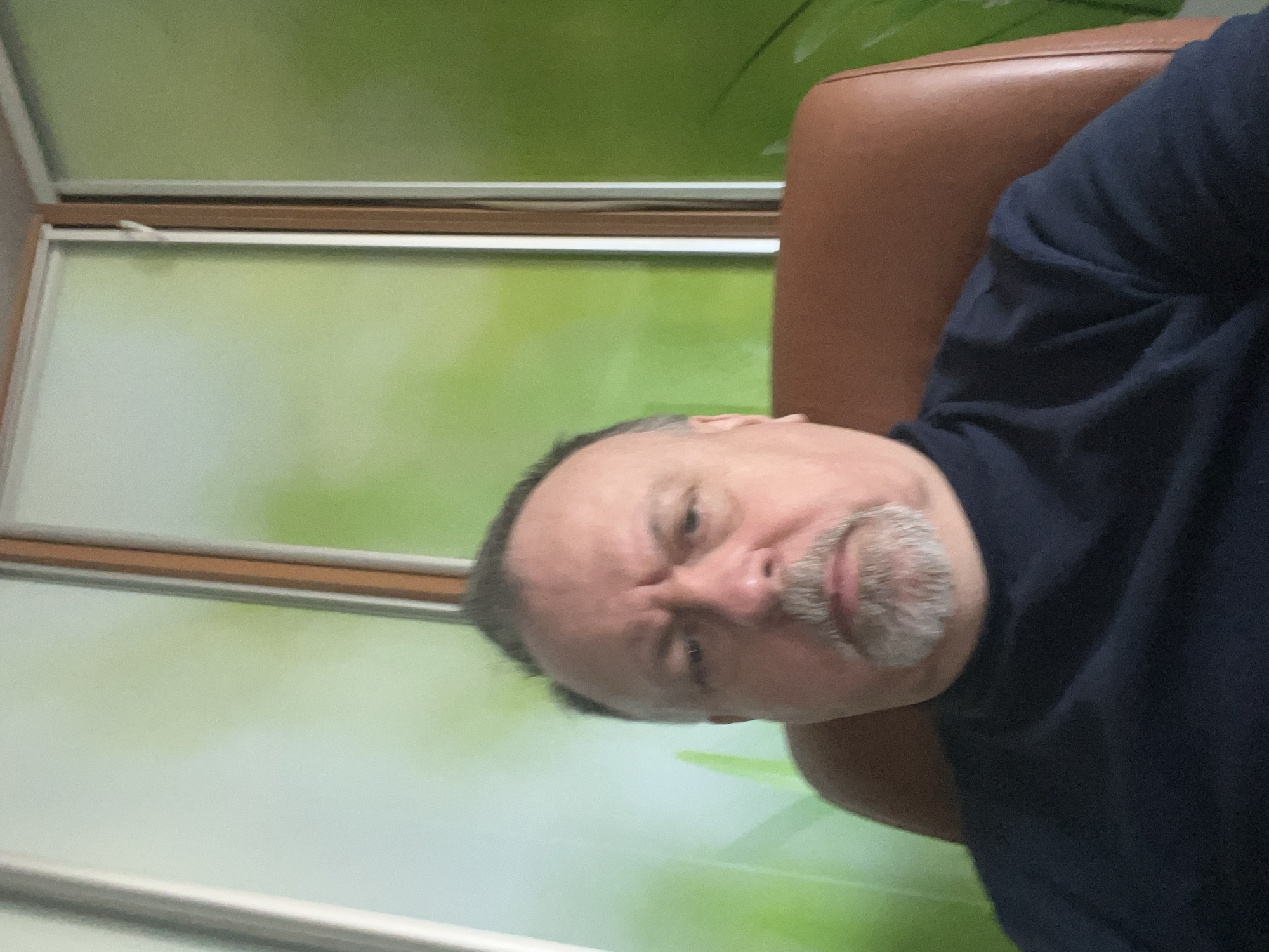 A single, middle-aged male individual is depicted in an indoor setting in Podolsk, Russia. The man, with short dark hair, a gray goatee, and a mustache, appears to be Caucasian and is wearing a dark blue, possibly navy, turtleneck or crewneck long-sleeved shirt. He is seated in a brown, leather-like chair, facing directly into the camera with a neutral to slightly stern expression and furrowed eyebrows. The background consists of vertical panels featuring light green and white tones, separated by vertical framing strips in silver/white and brown. One brown frame exhibits a white latch mechanism, suggesting the panels are either frosted windows or a windowed partition.