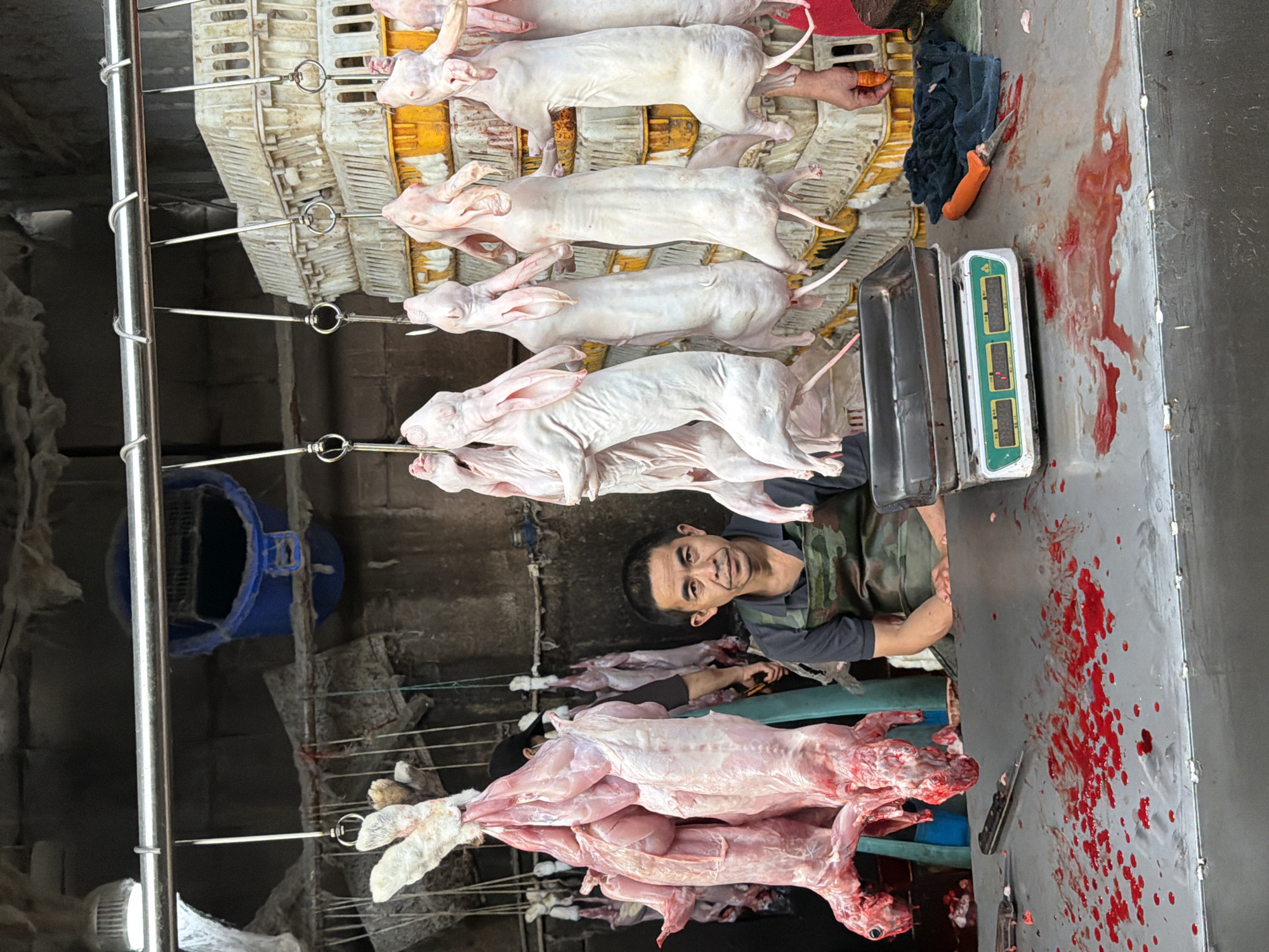 The image depicts a butcher's stall in a market in Jiangjin, China. A man wearing an apron is seated behind a stainless steel counter. The counter is stained with blood, and a scale is positioned on it. Numerous dressed carcasses, which appear to be rabbits, are hanging from hooks above and to the left of the man. Several stacks of plastic crates are visible in the background. The scene suggests a commercial meat processing and sales environment.