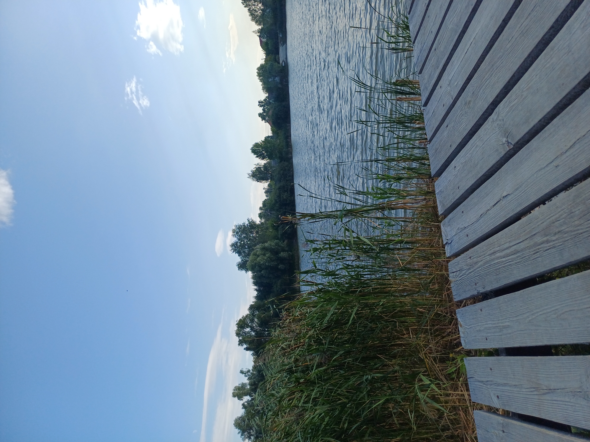 A wooden pier extends into a calm lake, with tall reeds lining the shore. The lake's surface reflects the clear blue sky, dotted with a few wispy clouds. In the background, a dense line of trees marks the far bank, with a few houses peeking through the foliage, suggesting a rural or semi-rural setting near the city of Sulymivka, Ukraine. The lighting indicates it is late afternoon or early evening. No people or animals are visible in the image.