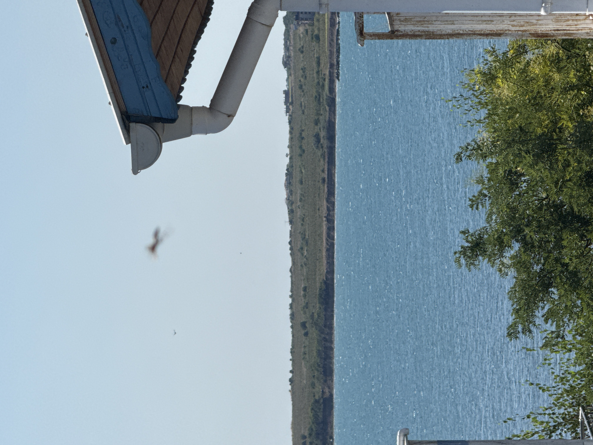 The image depicts a view from a building's roofline towards the sea, likely in Pomorie, Bulgaria. In the foreground, a section of a building's roof with a blue wooden fascia and a white gutter system is visible on the right side. Below the roofline, lush green trees obscure the lower portion of the scene. The middle ground is dominated by a wide expanse of choppy blue sea, reflecting the clear, bright sky. The background features a low, green, undulating coastline dotted with scattered trees and some buildings, suggesting a developed area. The sky is pale blue and cloudless, with two small, indistinct shapes that may be birds in flight visible in the upper portion of the frame. The scene is bathed in natural daylight, indicating it was taken outdoors on a sunny day.