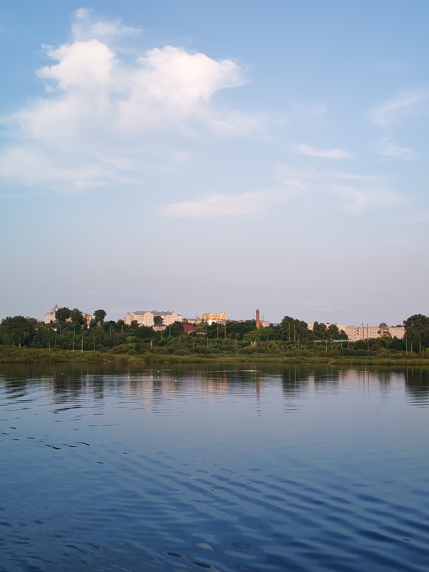 The image depicts a calm river with gentle ripples, reflecting the sky and the opposite bank. The sky is a pale blue with scattered white clouds. The bank of the river is lined with a dense green treeline, interspersed with buildings and a tall brick chimney. The buildings appear to be residential, with several stories and a mix of architectural styles. A few white birds are visible on the water near the bank. The scene suggests a serene environment, likely in a town or city with a waterfront. This view is consistent with the city of Sheksna, Russia, known for its river and surrounding landscape.