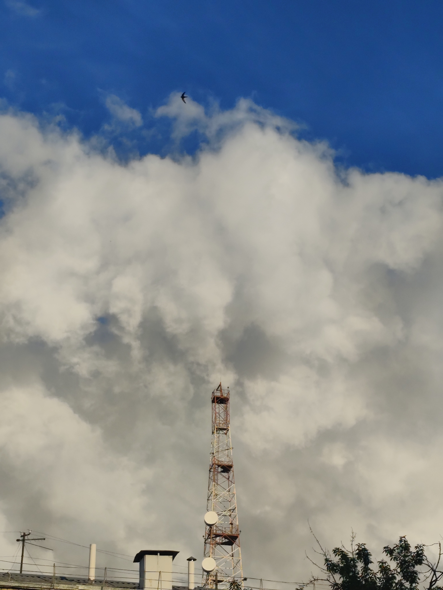 This vertical, outdoor, eye-level shot captures a telecommunications tower against a backdrop of dramatic clouds and a vibrant blue sky. The tower, a latticework of red and white metal, stands tall, adorned with circular satellite dishes. Below it, the roof of a building is visible, featuring pipes, electrical wires, and a chimney. A lone bird is silhouetted against the bright sky in the upper left quadrant of the image. The clouds are dense and billowy, creating a sense of depth and texture, with patches of clear blue sky peeking through. The lighting suggests it is daytime, with the sun illuminating the clouds and the tower. The scene evokes a sense of industrial presence juxtaposed with the vastness of nature. No text is visible in the image.