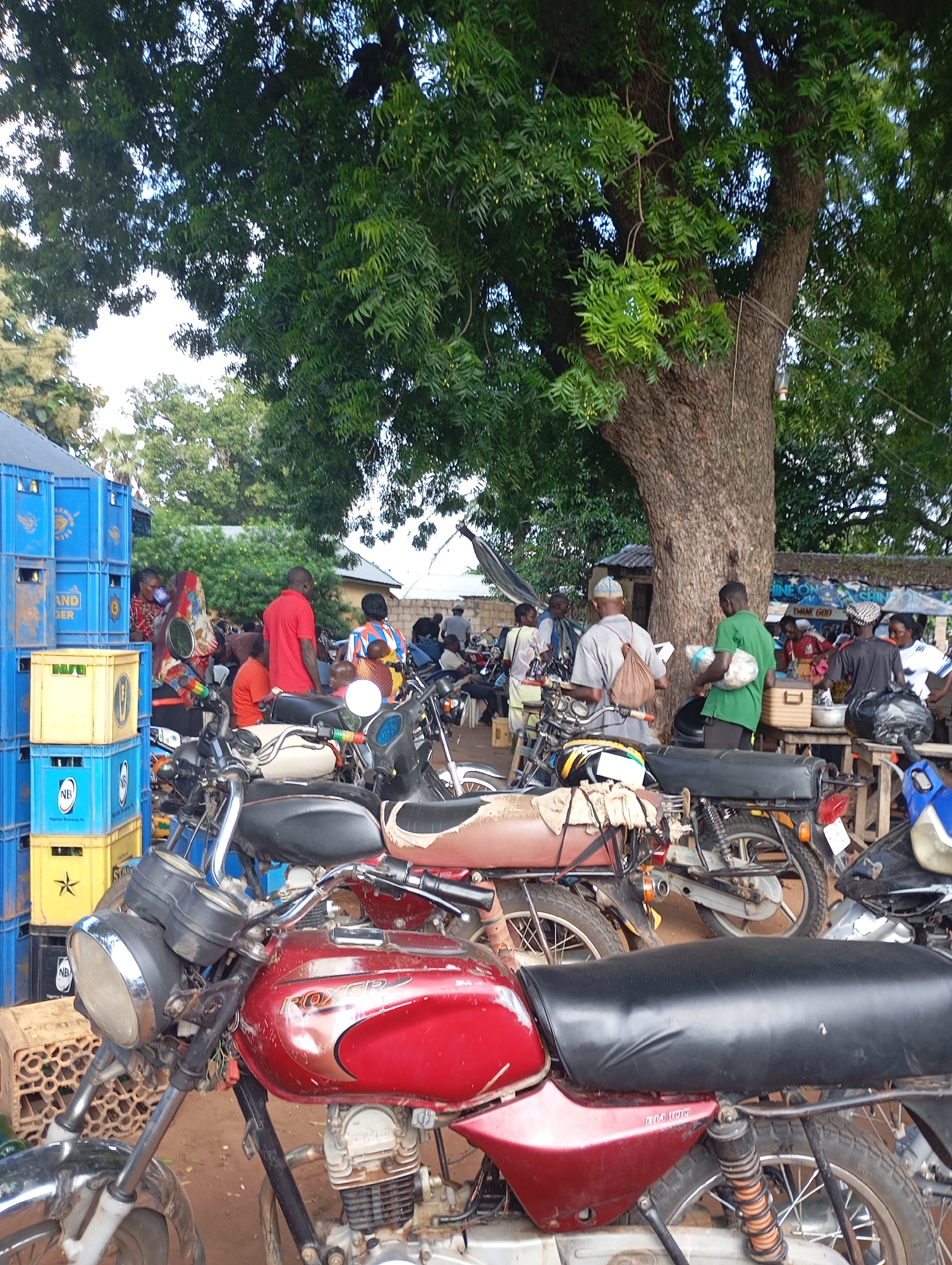 The image depicts an outdoor market scene under a large tree. In the foreground, several motorcycles are parked, with one red motorcycle prominently featured. Stacked blue and yellow crates are visible on the left side of the image. In the background, various people are engaged in activities such as standing, walking, and interacting at market stalls. Some individuals are seen carrying items. The environment suggests a warm climate with lush green foliage from the tree and surrounding vegetation. The ground appears to be dirt. There are market stalls with goods displayed, and some people are gathered around them. The overall atmosphere is that of a busy, local marketplace.
