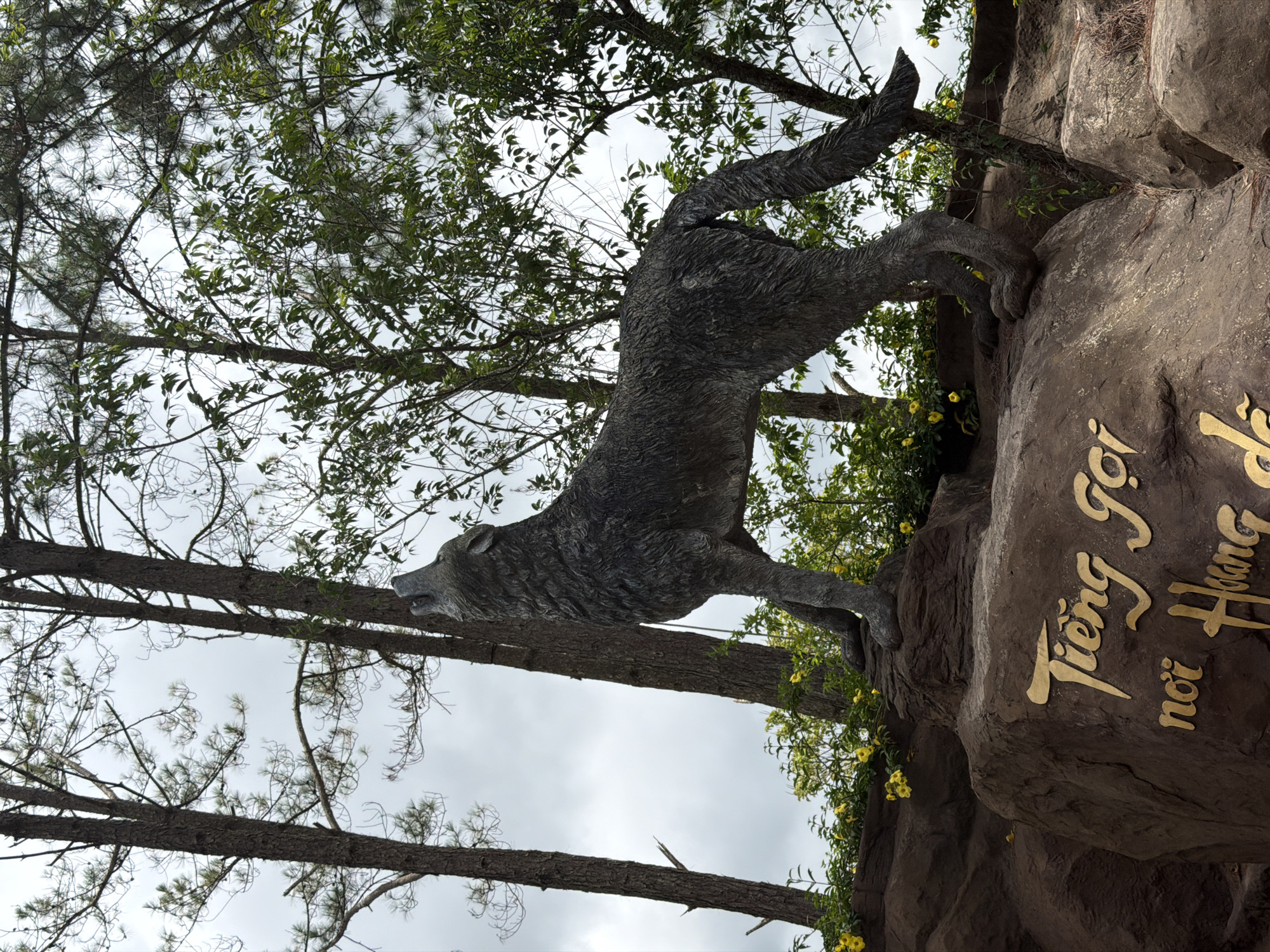 The image shows a statue of a wolf howling, situated on a rocky outcrop. The wolf statue is dark gray and appears to be made of stone or concrete, with a detailed texture simulating fur. It is positioned on a large, rough brown rock with golden Vietnamese calligraphy inscribed on its surface. The inscription appears to read "Tiếng gọi nơi Hoàng đế." Behind the statue, tall pine trees with sparse foliage reach towards a cloudy sky. Scattered yellow flowers and green foliage are visible around the base of the rocky outcrop, adding a touch of color to the scene. The overall environment suggests an outdoor setting, possibly a park or a memorial site. This statue is located at the Da Lat Flower Park in Da Lat, Vietnam.