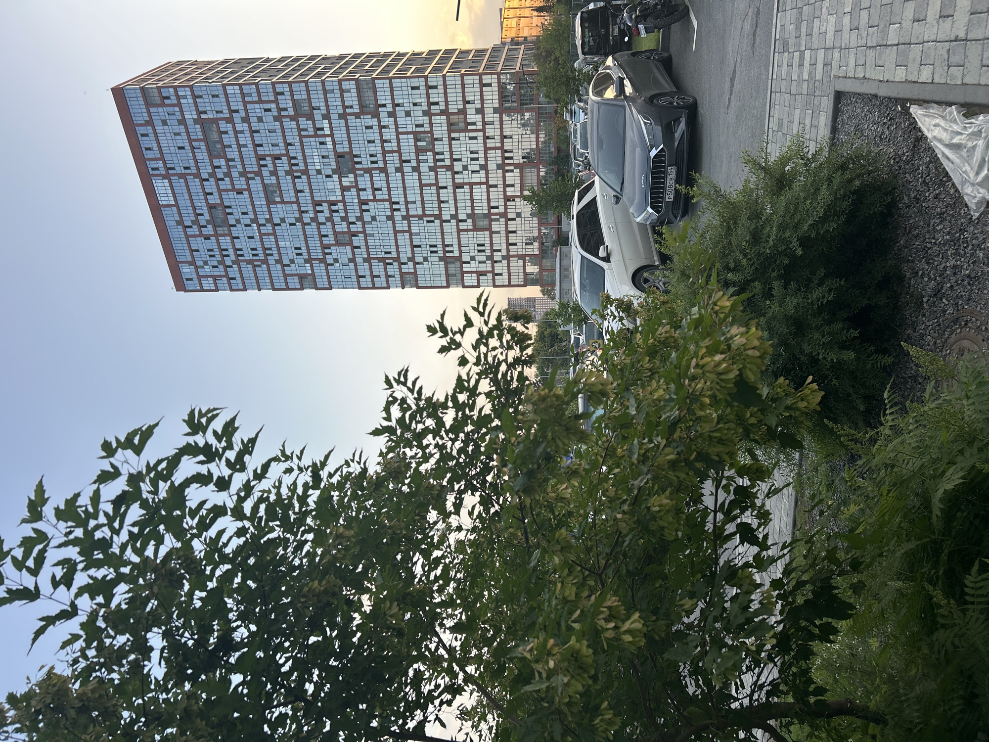 In a cityscape setting, a modern, tall, rectangular building with a red facade and numerous glass windows stands prominently against a clear sky. The building's windows reflect the surrounding environment. In the foreground, a large, leafy green tree with hanging seed pods partially obscures the view of a parking lot. Several cars are parked, including a white SUV and a dark gray sedan with a license plate reading "P508CB 154." The parking lot is paved with asphalt and bordered by a walkway made of gray interlocking pavers. Additional greenery, including a dense bush and other smaller plants, is visible around the parking area. In the background, other buildings and trees can be seen. The overall scene suggests an urban environment, possibly a residential or commercial complex, bathed in the soft light of either dawn or dusk.