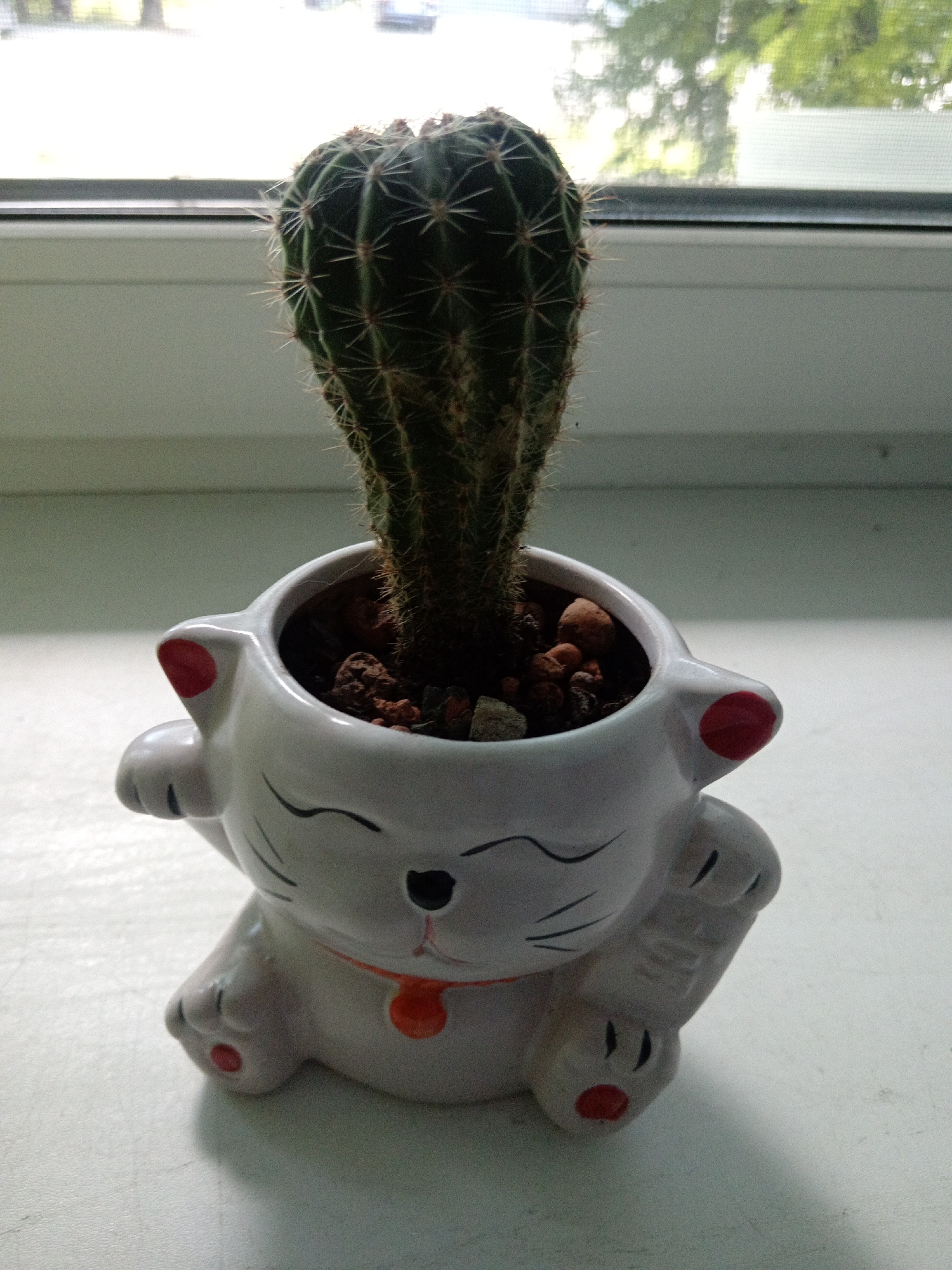 A vertical, medium shot shows a cactus in a white, cat-shaped planter, set against a blurred background of a window and trees. The cactus is dark green with prominent spines, and its base is surrounded by dark soil and small pebbles. The planter is a ceramic, stylized cat, painted white with red ears, black eyes and mouth, and an orange collar with a red charm. The cat planter has paws extended outwards and a tail curled around its back. The planter sits on a white, textured surface, possibly a windowsill. The background reveals a window with a light-colored frame and a view of green foliage and trees, suggesting an outdoor environment. The overall lighting is soft and natural, coming from the window. The image is captured from a slightly elevated perspective, looking down at the planter.
