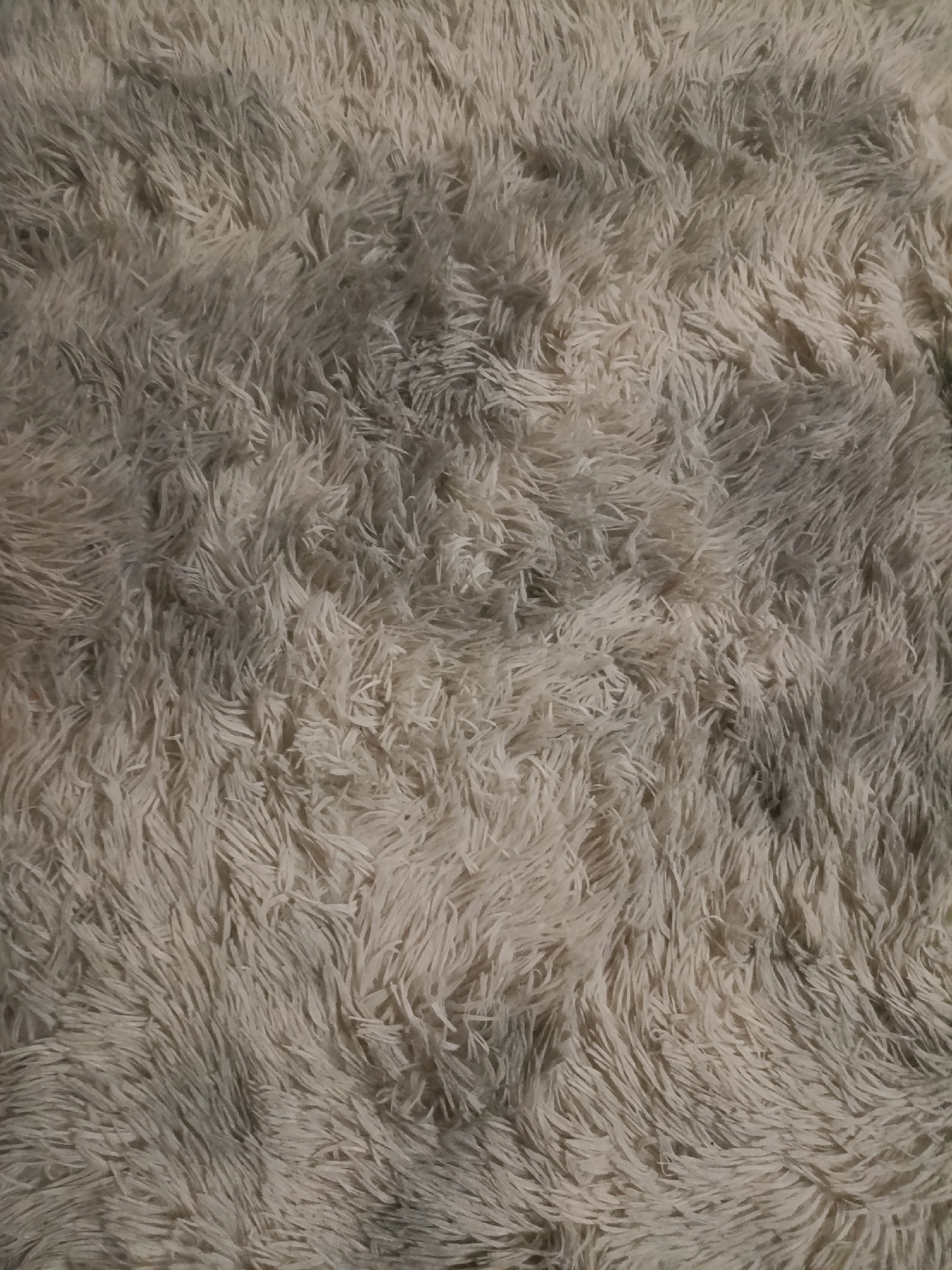 The image is a close-up, full-frame shot of a textured, fluffy, light-colored rug or blanket. The fibers are long, soft, and appear to be synthetic. There are subtle variations in shading, with some areas appearing slightly darker or grayer than others, likely due to the lighting and the way the fibers are matted or pushed. The texture is dense and chaotic, with no discernible patterns or objects within the fibers. The lighting casts soft shadows, enhancing the depth and unevenness of the surface. The background is entirely composed of this textural material. There are no people, animals, or any recognizable objects. The image is an abstract representation of texture.