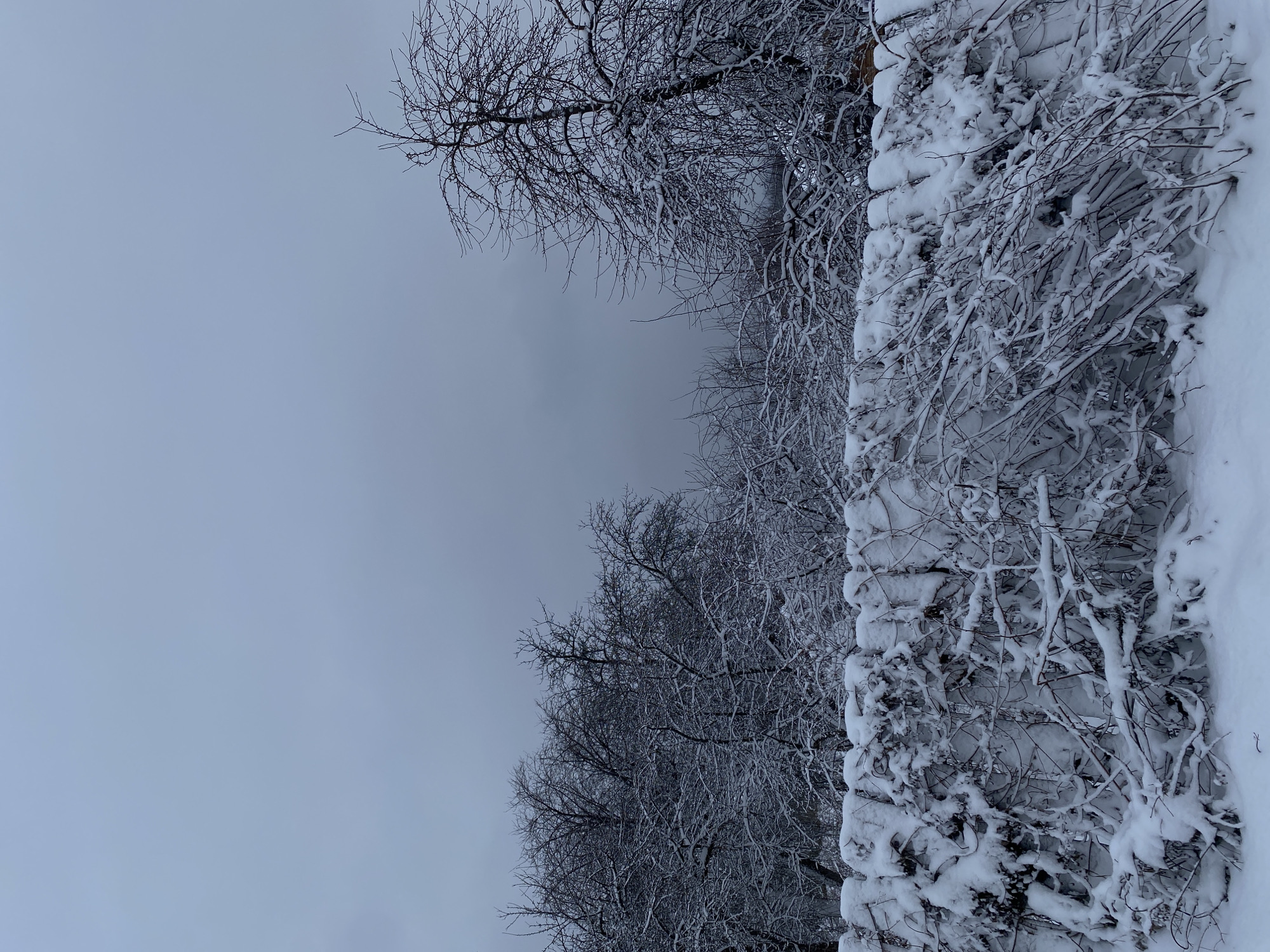 The image depicts a winter scene, likely taken in Ольховка, Russia, based on the prompt. The sky is overcast and grey, occupying a significant portion of the frame. Trees, bare of leaves and covered in snow, are visible. A snow-laden structure that may be a wall or fence, also covered in snow, stands to the right. The scene is quiet and barren, suggesting a cold winter day. No people or animals are visible. The overall tone is bleak and monochromatic.