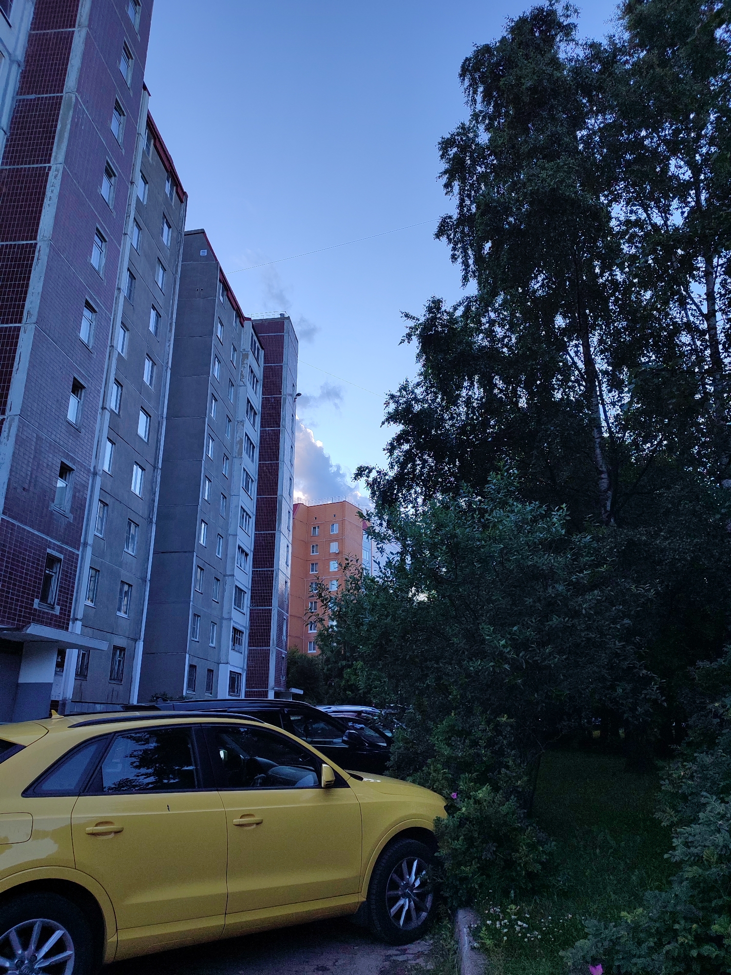The image depicts an outdoor scene in a residential area of Vsevolozhsk, Russia. In the foreground, a yellow car is parked on the right side. To the left of the car, several tall residential buildings are visible, characterized by their concrete and brick facades. The buildings appear to be apartment complexes. Further to the right, dense foliage, including trees and bushes, partially obscures the view. The sky above is a pale blue with some clouds, suggesting it may be late afternoon or early evening. The overall impression is that of a typical urban or suburban environment.