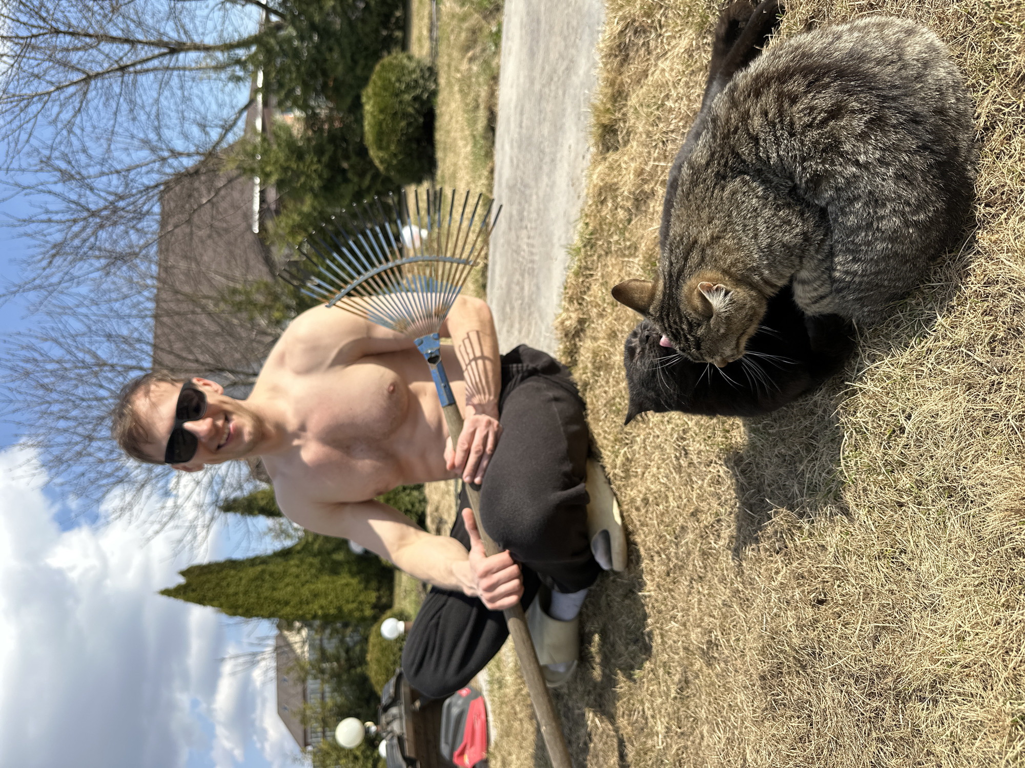 A shirtless man wearing sunglasses squats in a yard with a rake in his hands. Two cats are located nearby on the grass, one dark and one tabby. The background includes a house, trees, and a partially visible sky with clouds. The location is likely not Kursk, Russia, as there is no definitive evidence in the image to support that claim.