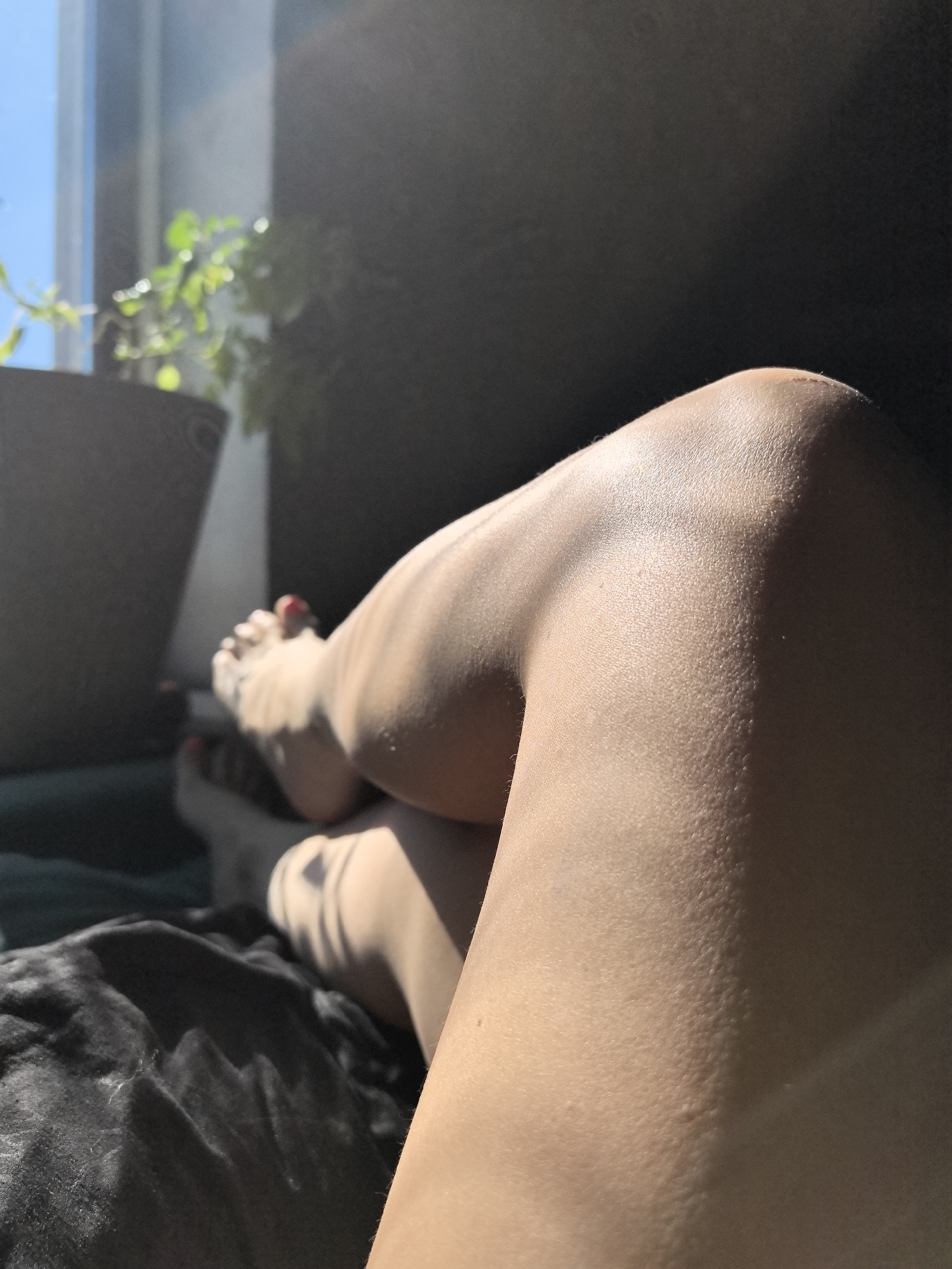The image shows a person's legs resting on a bed, with sunlight streaming in from a nearby window. A potted plant is visible near the window. There is no evidence to suggest a specific location, such as Noviy, Russia.