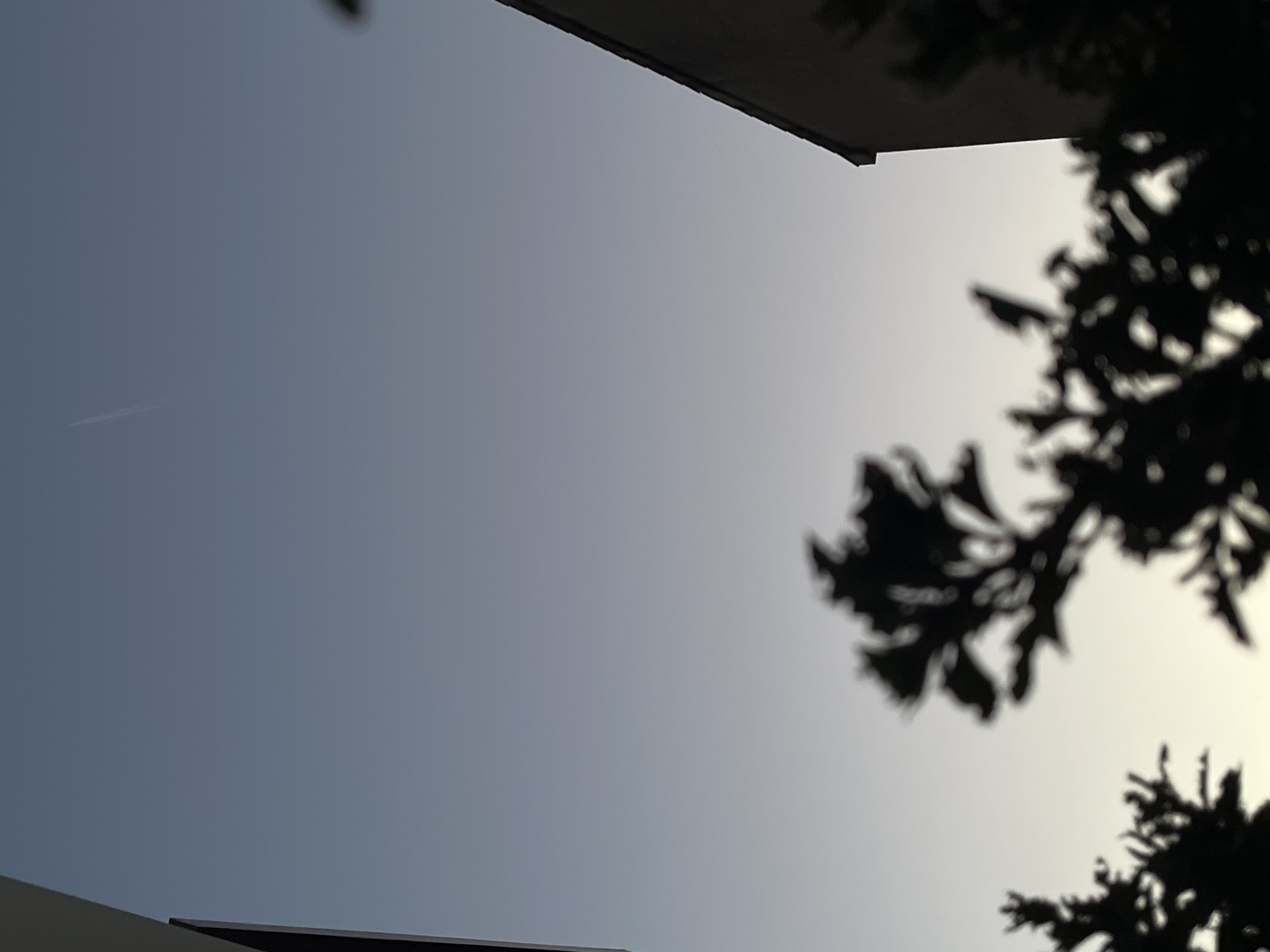 This is a vertical, low-angle, outdoor shot of a twilight sky with silhouettes of buildings and trees. A faint contrail from an airplane is visible high in the pale blue sky. On the left, a dark, angular building structure dominates the upper left quadrant. On the right, the dark silhouette of a pitched roof of a building is visible against the gradient sky. In the foreground, the dark, out-of-focus silhouettes of evergreen trees are prominent, with the largest and most detailed silhouette in the center occupying the lower half of the image. The scene appears to be in a residential or urban area. The context of Budva, Montenegro, is not directly discernible from the visual elements present in the image.