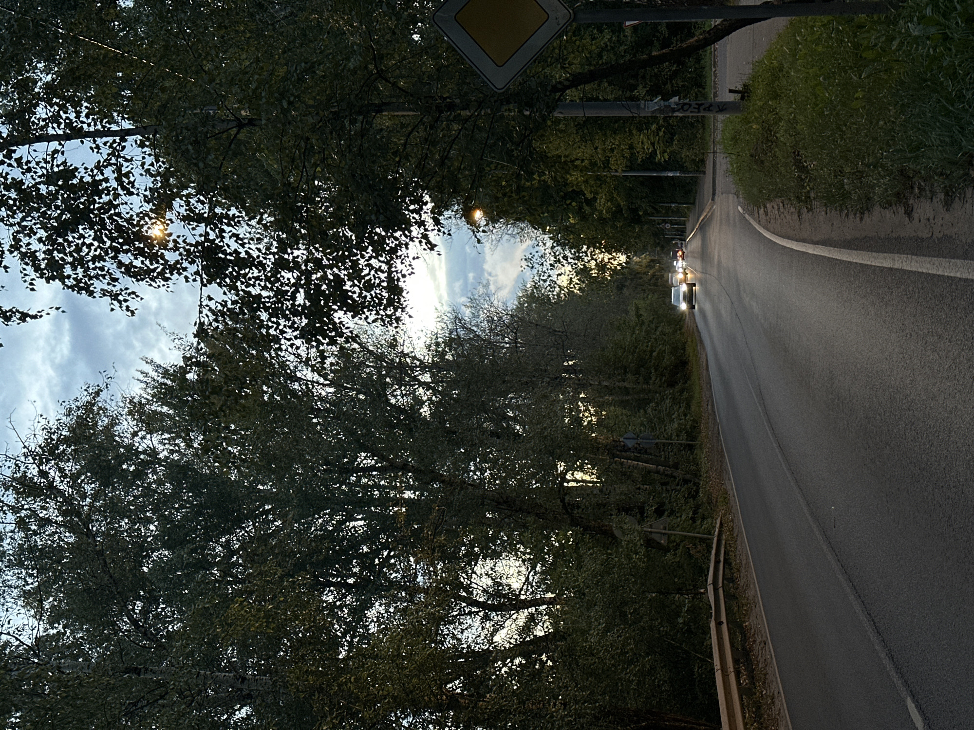 The image shows a two-lane asphalt road with a white line dividing the lanes. The road is flanked by trees on both sides, creating a canopy effect. Several cars are visible on the road, with their headlights on, suggesting it is either dusk or early morning. A yellow diamond-shaped road sign is visible on the right side of the road, attached to a utility pole. The sky is cloudy, with some patches of blue and rays of sunlight filtering through the trees. The overall scene depicts a rural or suburban road in a wooded area, possibly in the city of Shchyolkovo, Russia. The photograph has been taken from a slightly elevated perspective, looking down the road. The vegetation is lush and green, indicating a temperate climate.
