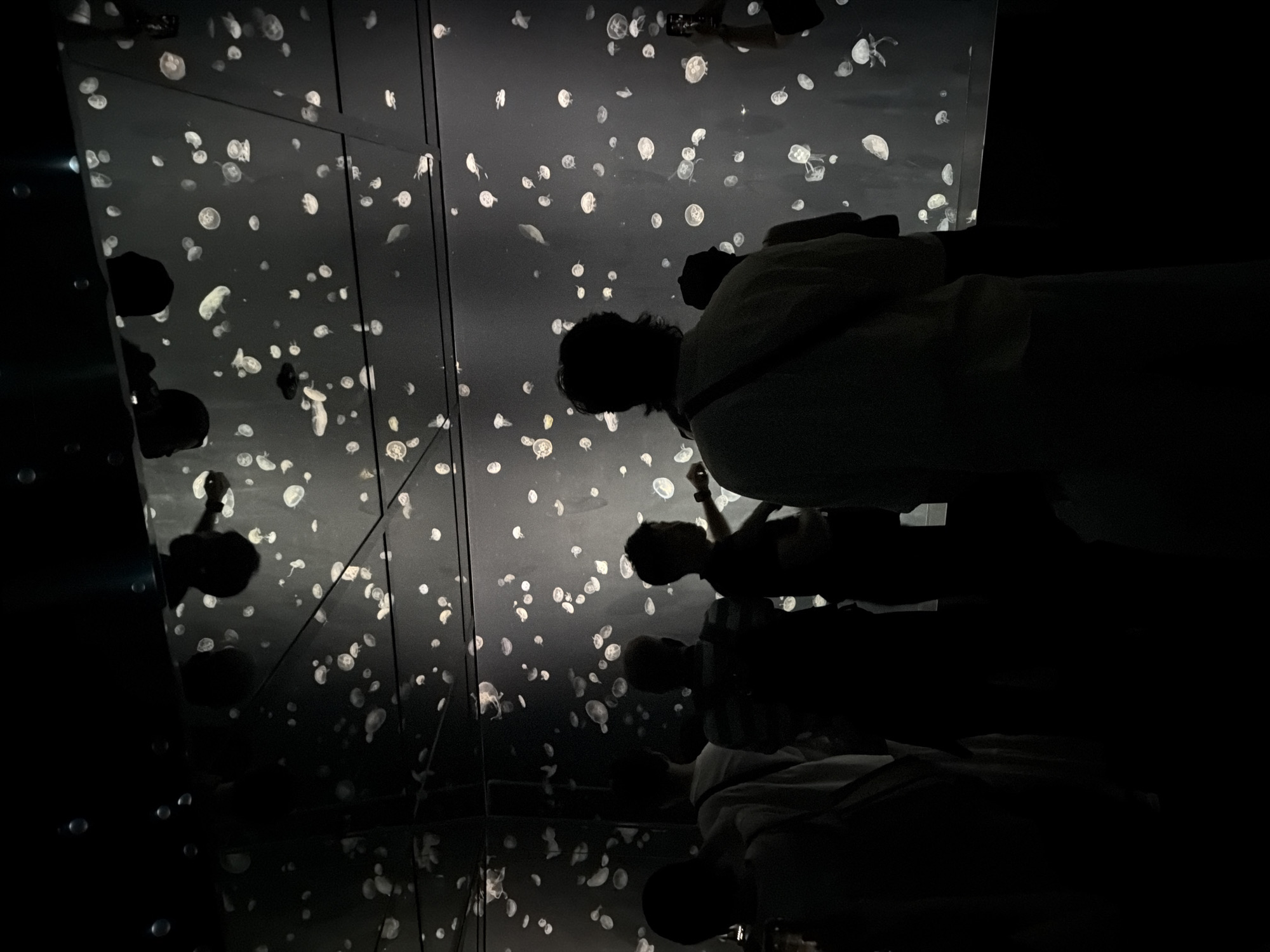 The image captures an immersive art installation or exhibit, likely an aquarium, located in Osaka, Japan. The scene is dominated by a dark, almost black, environment, against which numerous translucent, white, bell-shaped objects resembling jellyfish glow softly. These luminous forms appear to float across the walls and ceiling, creating an otherworldly, underwater-like atmosphere.
Several silhouettes of people are visible, observing the display. In the lower right, a person is seen from behind, looking upwards at the glowing forms. Other partial figures and reflections of people and the "jellyfish" are scattered across the left and upper sections of the image, suggesting the presence of mirrors or highly reflective surfaces that multiply the visual effect and create a sense of vastness and depth.
The overall impression is one of quiet contemplation and wonder as visitors engage with the serene, glowing spectacle. The indoor setting suggests controlled lighting conditions, emphasizing the luminescence of the jellyfish-like objects. There is no visible text in the image.