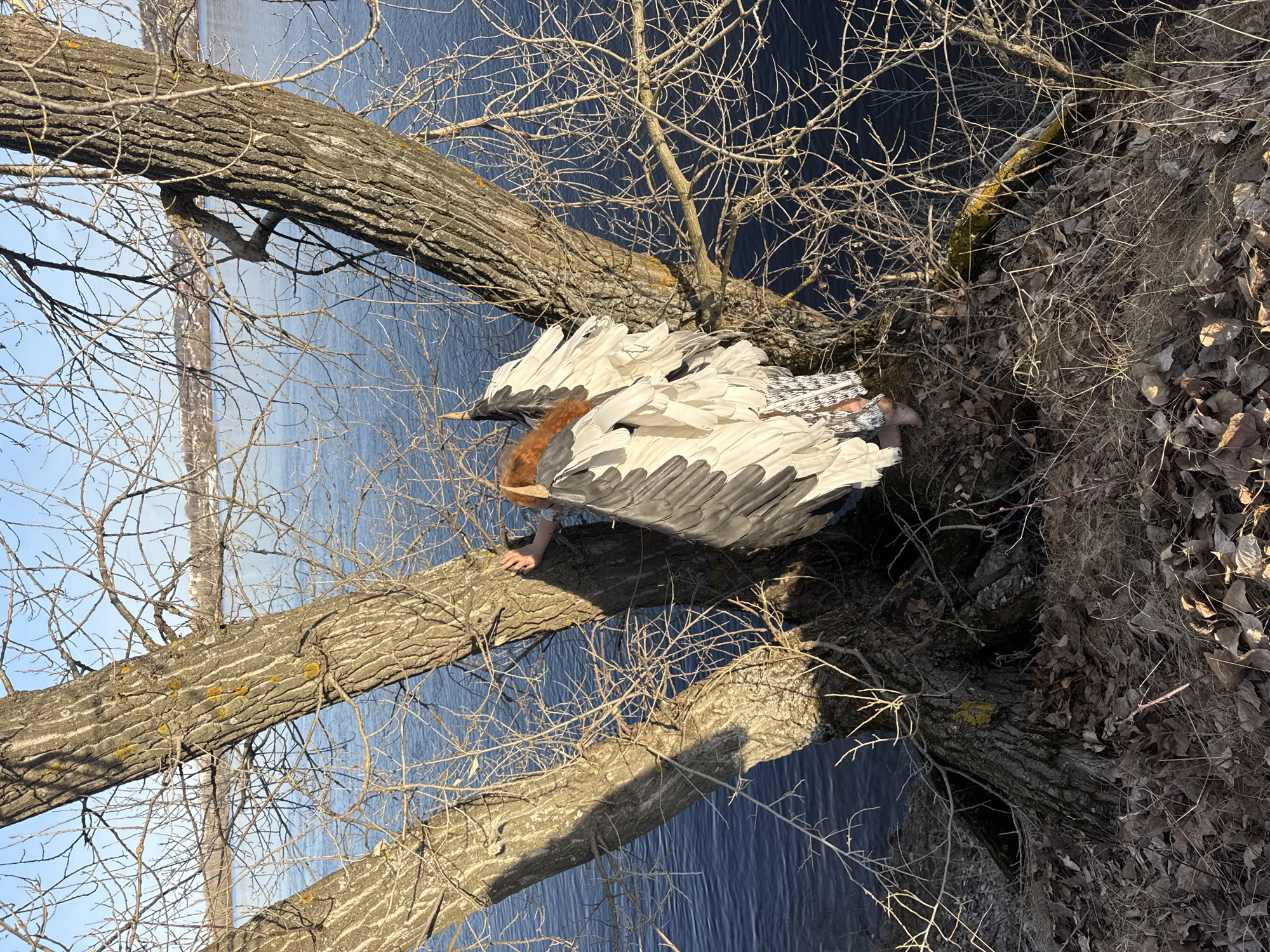 The image depicts a person in a feathered costume perched on a tree branch overlooking a body of water. The tree is bare, with many small branches visible against the blue water. The ground surrounding the tree is covered in dry leaves and grass. The costume consists of white and gray feathers with a brown neck. The person's hand is visible, gripping the branch. The location may be Noviy, Russia, indicated by a hint.