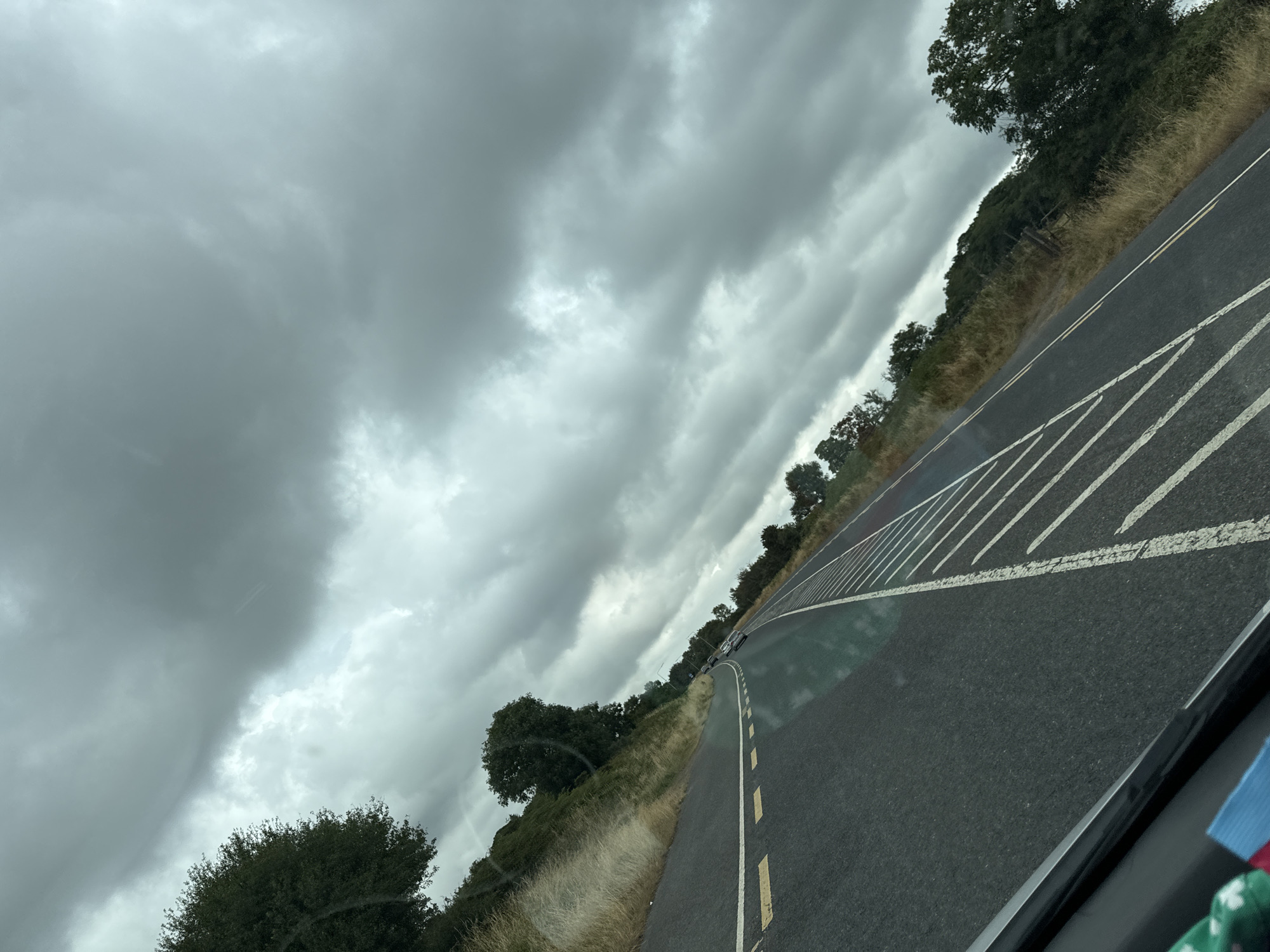 A first-person perspective from a vehicle shows a grey, overcast sky and a road stretching into the distance. The road has white and yellow lane markings. Trees and dry grass line the side of the road. Several cars are visible on the road ahead. The image appears to have been taken in Ireland.