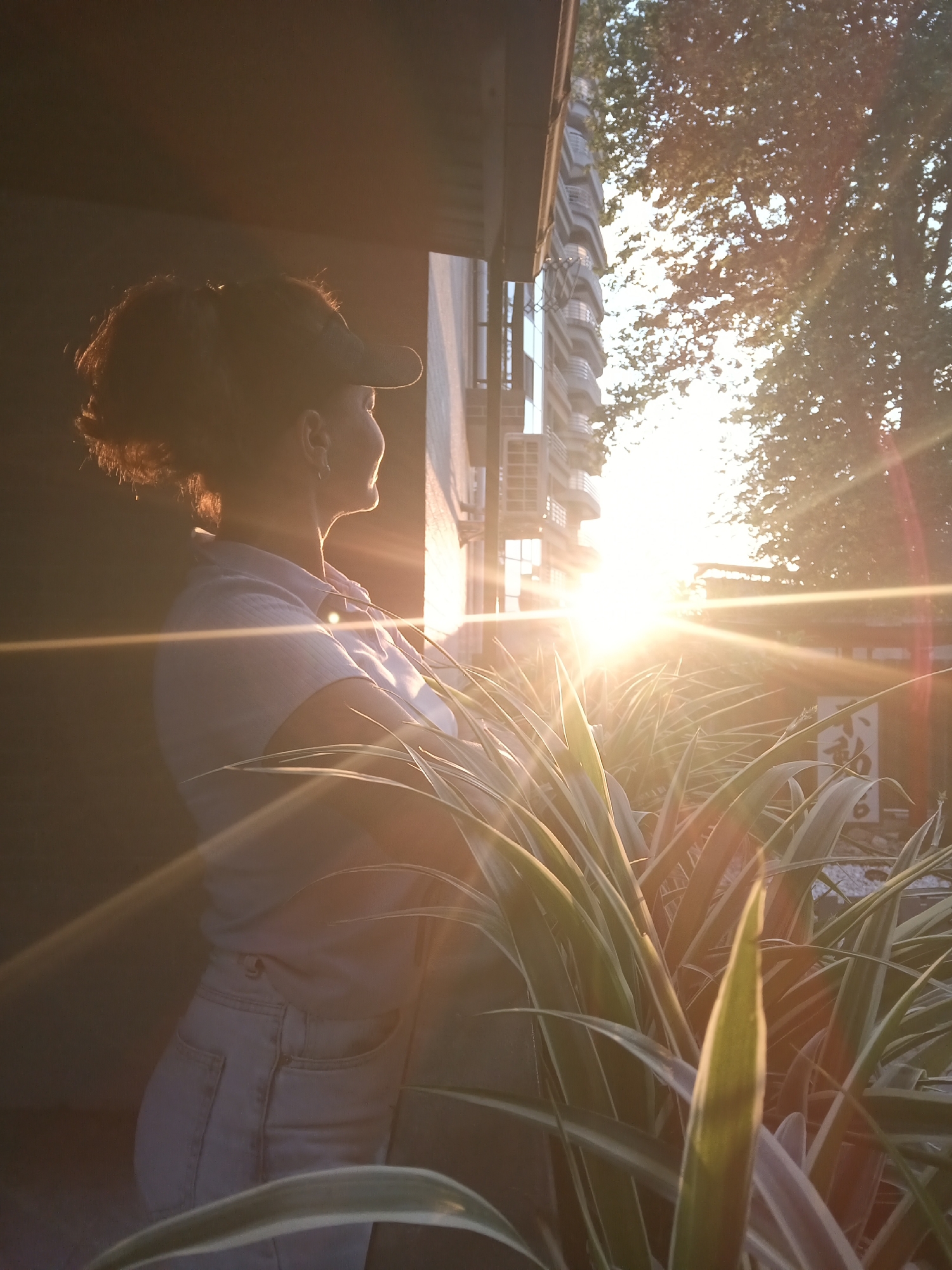 A woman wearing a light blue collared shirt and denim shorts stands facing a building at a slight angle, her arms crossed. She has a dark baseball cap on, and her hair is pulled back in a ponytail. The sun is setting, casting a warm golden light that creates lens flare across the image. In the foreground, several green leafy plants are visible. Behind the woman, a modern building with balconies and air conditioning units can be seen, as well as trees. The overall scene suggests a warm evening in an urban setting, possibly in Sochi, Russia, given the hint.