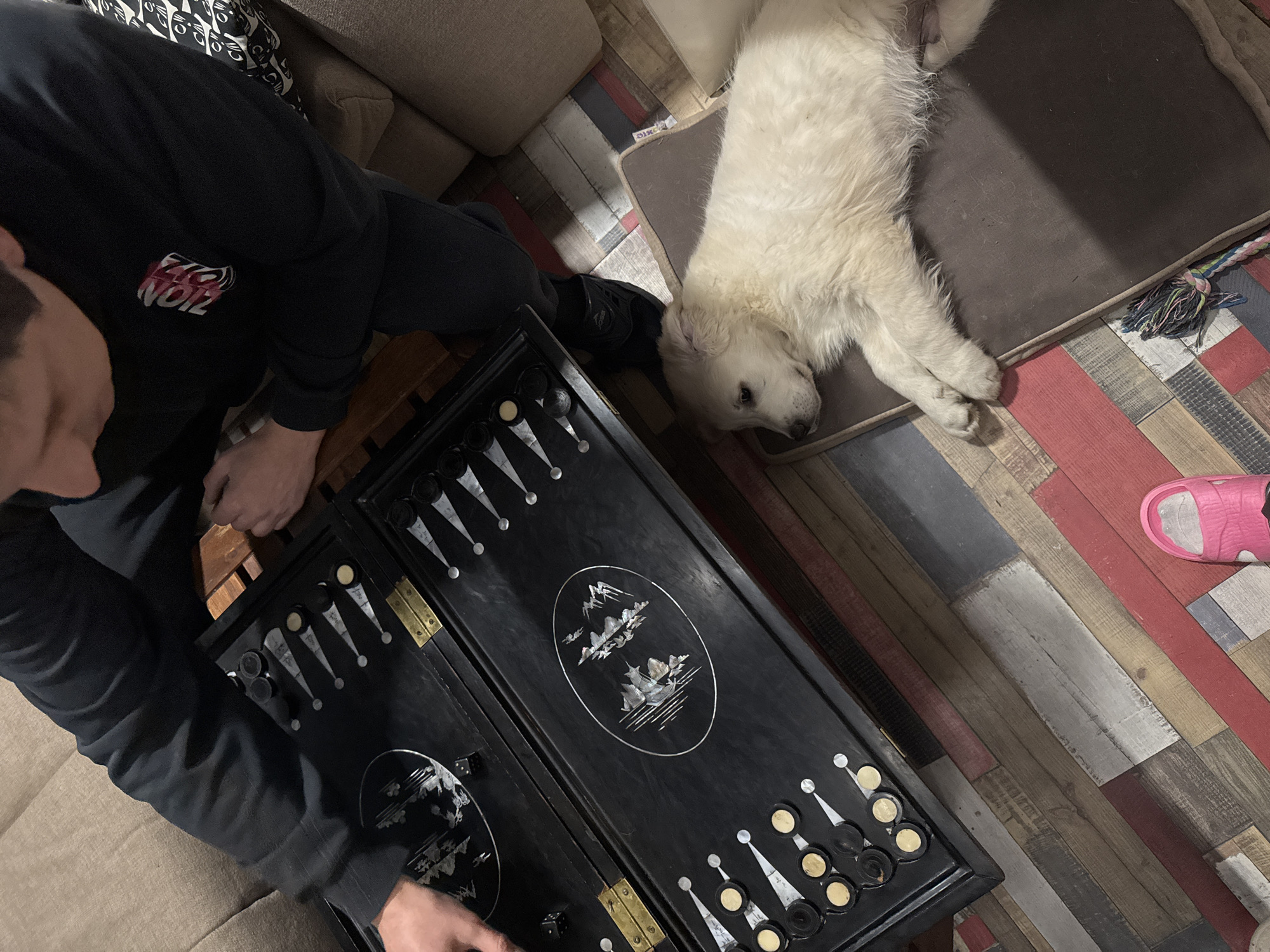 A top-down shot depicts a man playing backgammon, with a white dog sleeping on a dog bed nearby. The man is wearing a black sweatshirt and black pants and sits to the left of the backgammon board. The dog lies on a brown rectangular dog bed. The floor is a mix of colored wooden planks. A pink sandal is partially visible near the corner of the frame. The exact location is Ptichnoye, Russia.