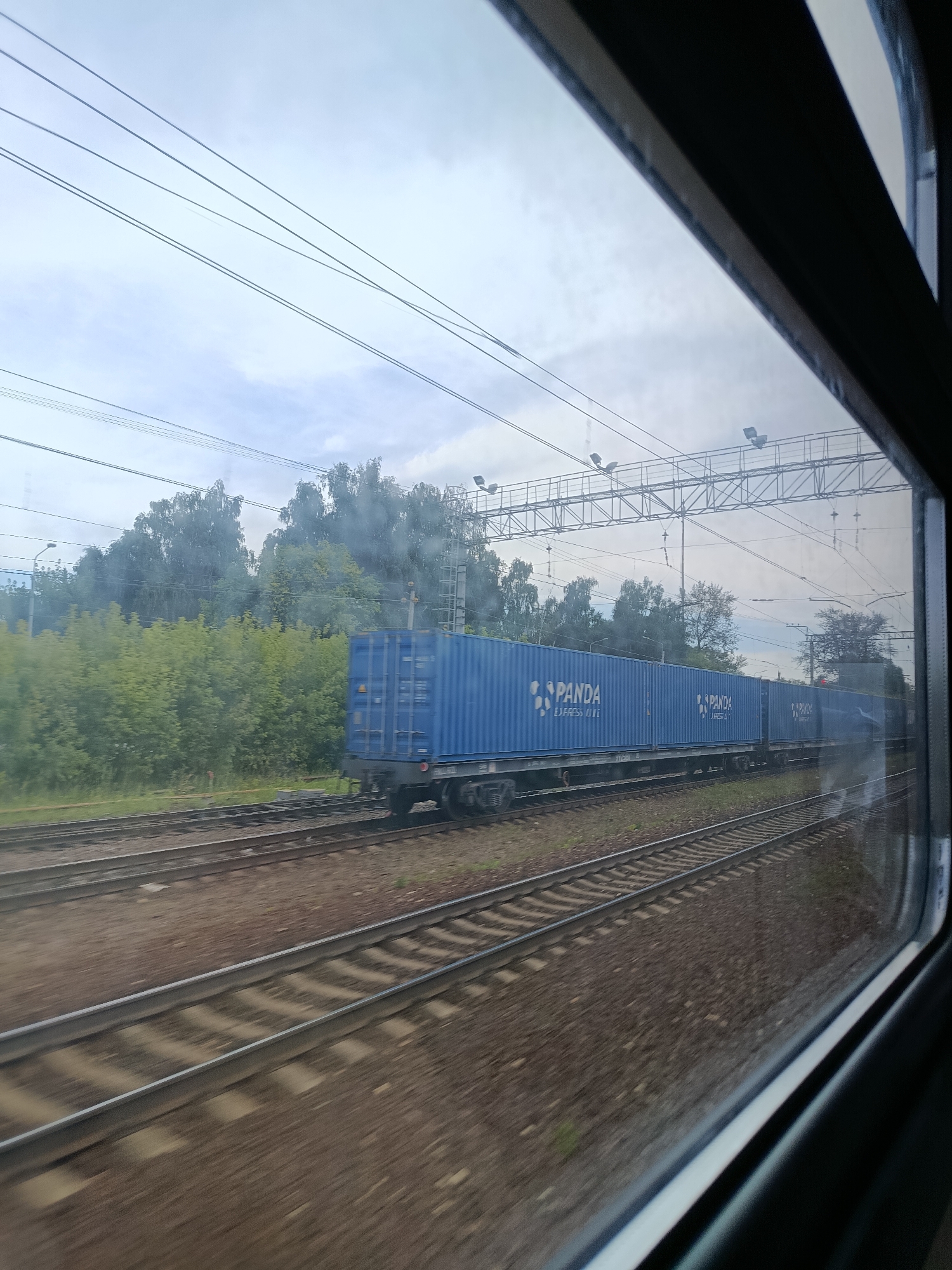 A freight train carrying blue shipping containers is traveling on railway tracks through a semi-urban area with lush green trees and vegetation on the side. The train is composed of multiple cars, each topped with a large, rectangular blue container. The containers are branded with the logo "PANDA EXPRESS LINE." Overhead, power lines and electrical infrastructure for the train are visible. The sky is overcast with clouds. The image is taken from the perspective of someone inside another moving train, looking out the window, which causes some motion blur, particularly in the foreground. The scene appears to be located in Elektrougli, Russia, as indicated by the presence of railway infrastructure and the surrounding environment. There are no people visible in the image.