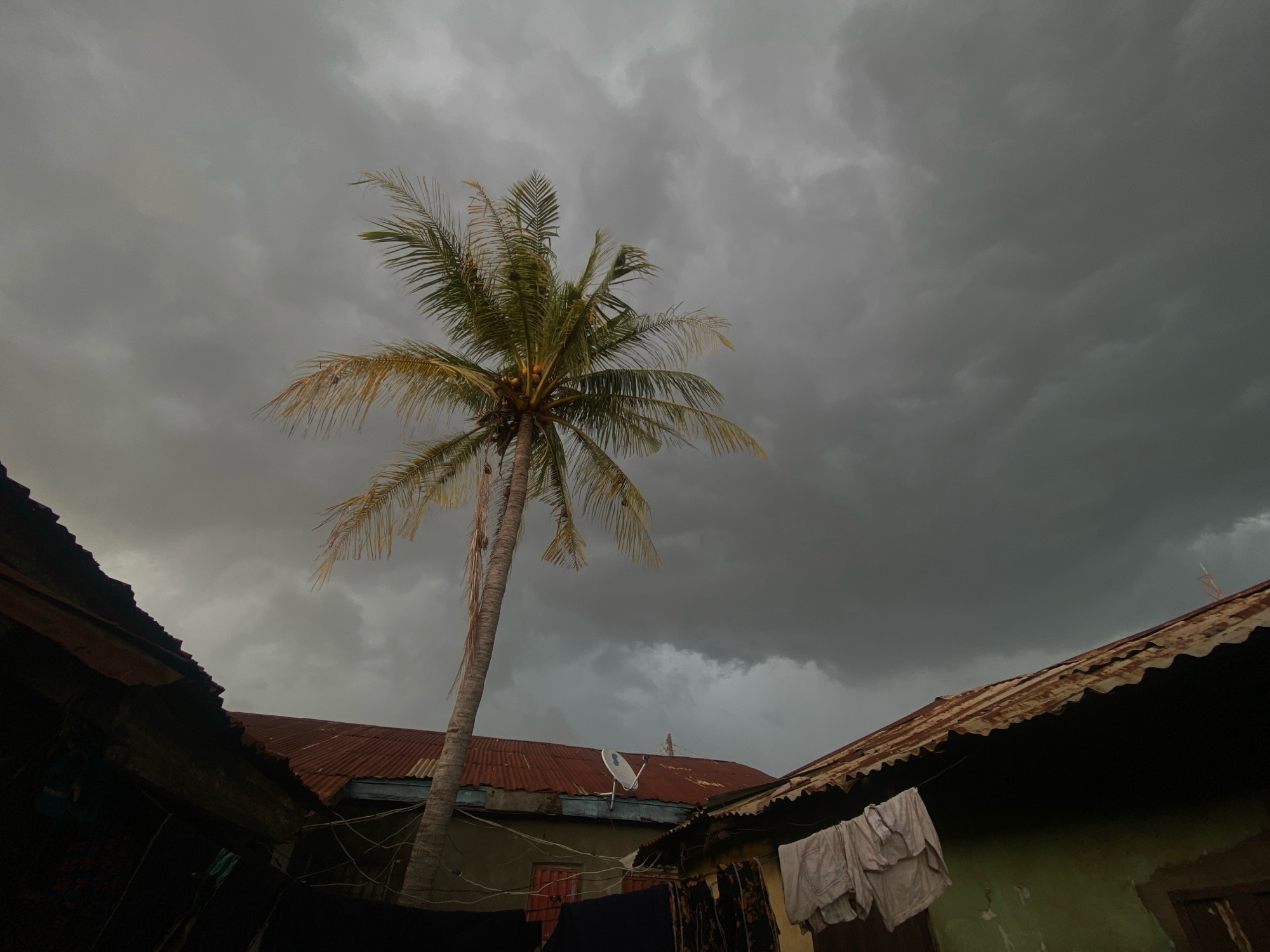 A single coconut palm tree stands tall against a dark, cloudy sky in Barden Yana, Nigeria. The sky is filled with heavy, gray clouds, suggesting an impending storm. In the foreground, the corrugated iron roofs of several buildings are visible, some rusted and weathered. Clothes hang on a line outside one of the structures. A satellite dish is mounted on one of the roofs. The overall scene is one of overcast skies and a humid, tropical atmosphere.