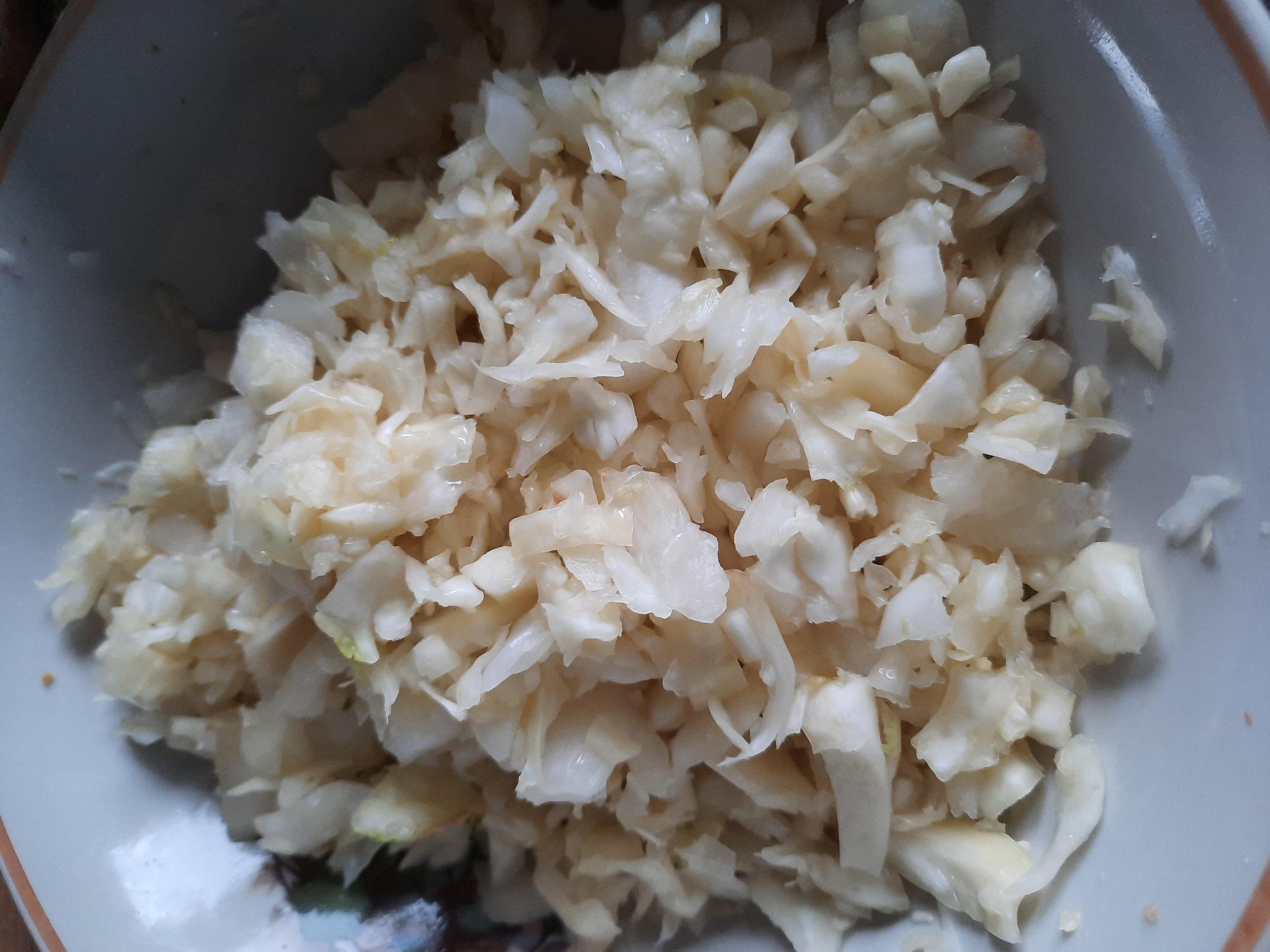 A top-down, close-up shot shows a white bowl filled with chopped cabbage. The cabbage pieces are irregular in shape and size, ranging from small shreds to larger chunks. The bowl itself is white with some visible detailing at the rim. No people, other objects, interactions, or environmental details are present. The location, Krasnogorskoye, Russia, is only inferred from the prompt and not visible in the image.