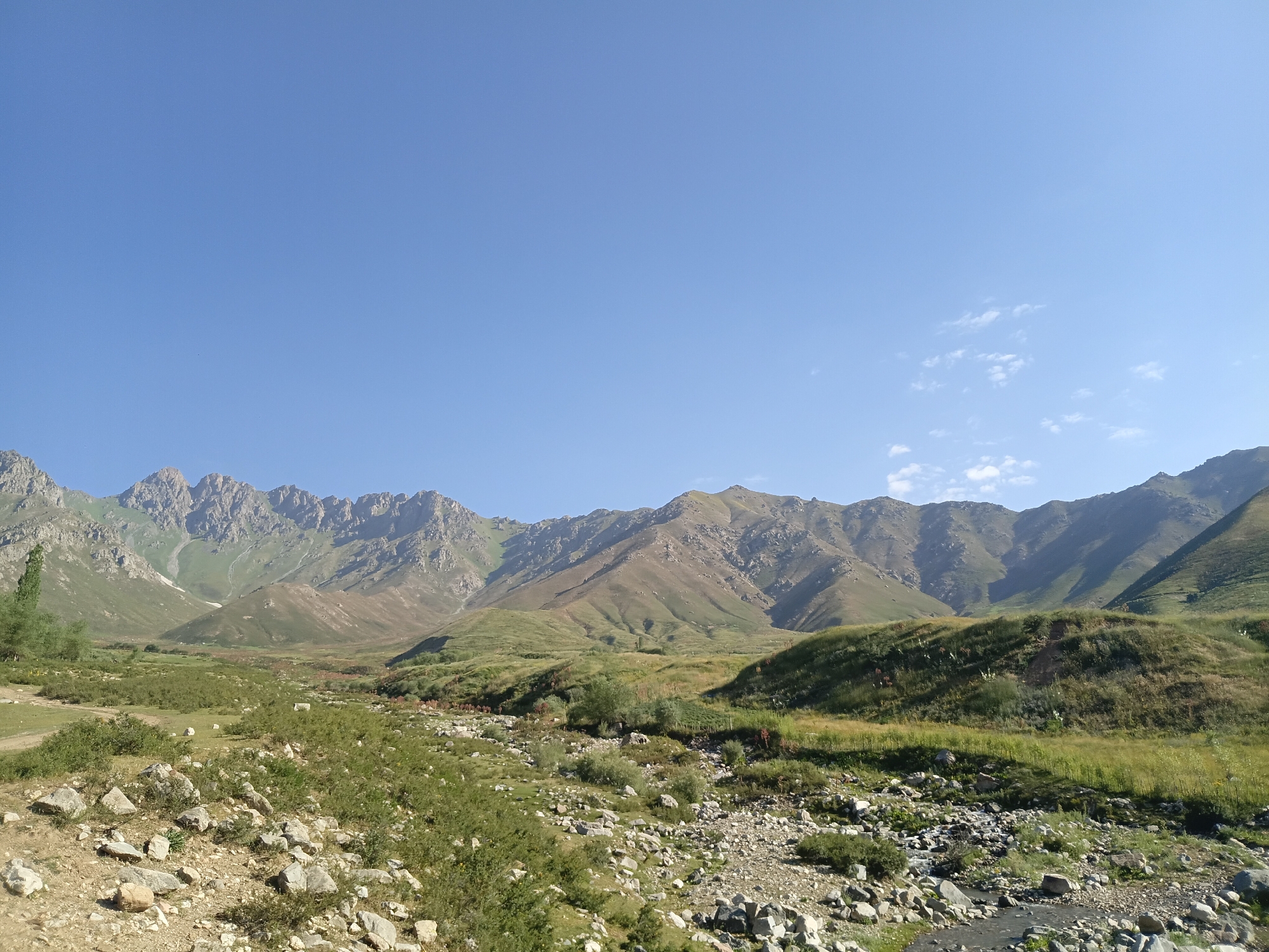 The image depicts a panoramic view of a mountainous landscape under a clear blue sky with scattered wispy clouds. The foreground is a rocky, uneven terrain covered in dry grasses and scattered stones. A narrow, shallow stream or dry creek bed runs diagonally through the lower right portion of the image, also filled with stones. In the midground, rolling green hills and sparse vegetation dominate, with some areas appearing drier and more sparsely vegetated. Further in the background, rugged, rocky mountains rise sharply, their slopes showing variations in color from green to brown and grey, with some patches of snow or scree visible on the higher peaks. The overall impression is one of a remote, natural environment in a mountainous region. The scene does not show any people, animals, or man-made structures, suggesting a wild or unpopulated area.