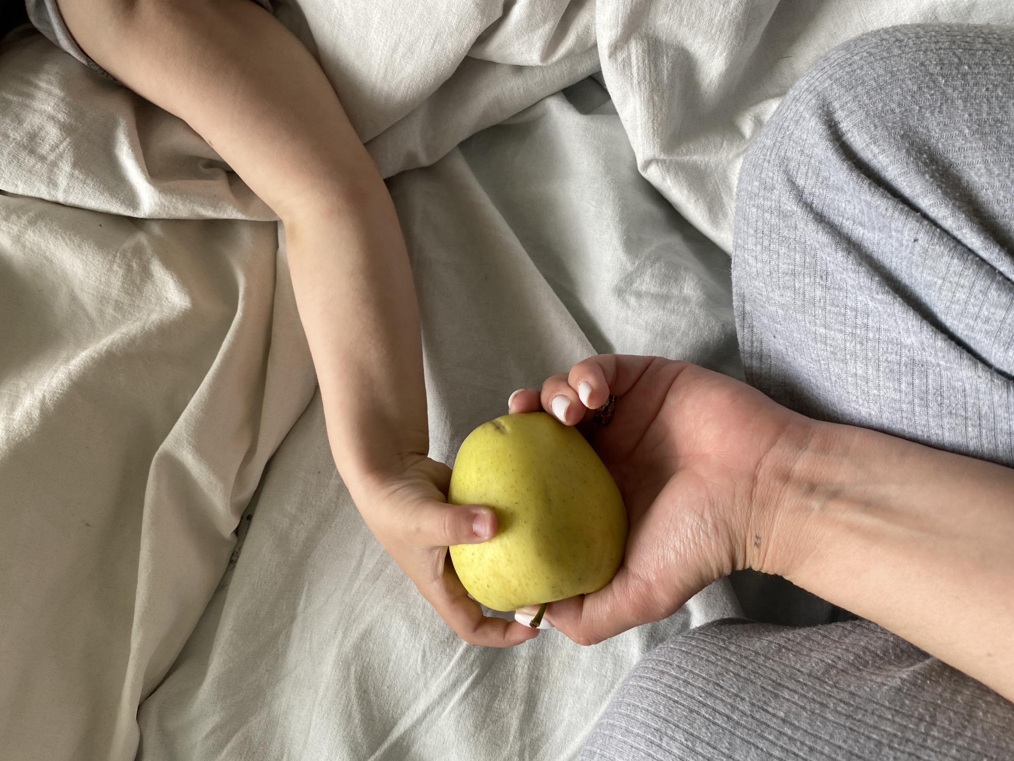 A top-down shot depicts a yellow pear being held in the hands of two individuals. One hand belongs to a child, with a small arm extending towards the left of the frame. The other hand belongs to an adult, clad in gray knit pants, and possesses neatly manicured nails. The backdrop is a slightly rumpled, off-white bedsheet. The location is Unknown, Unknown.