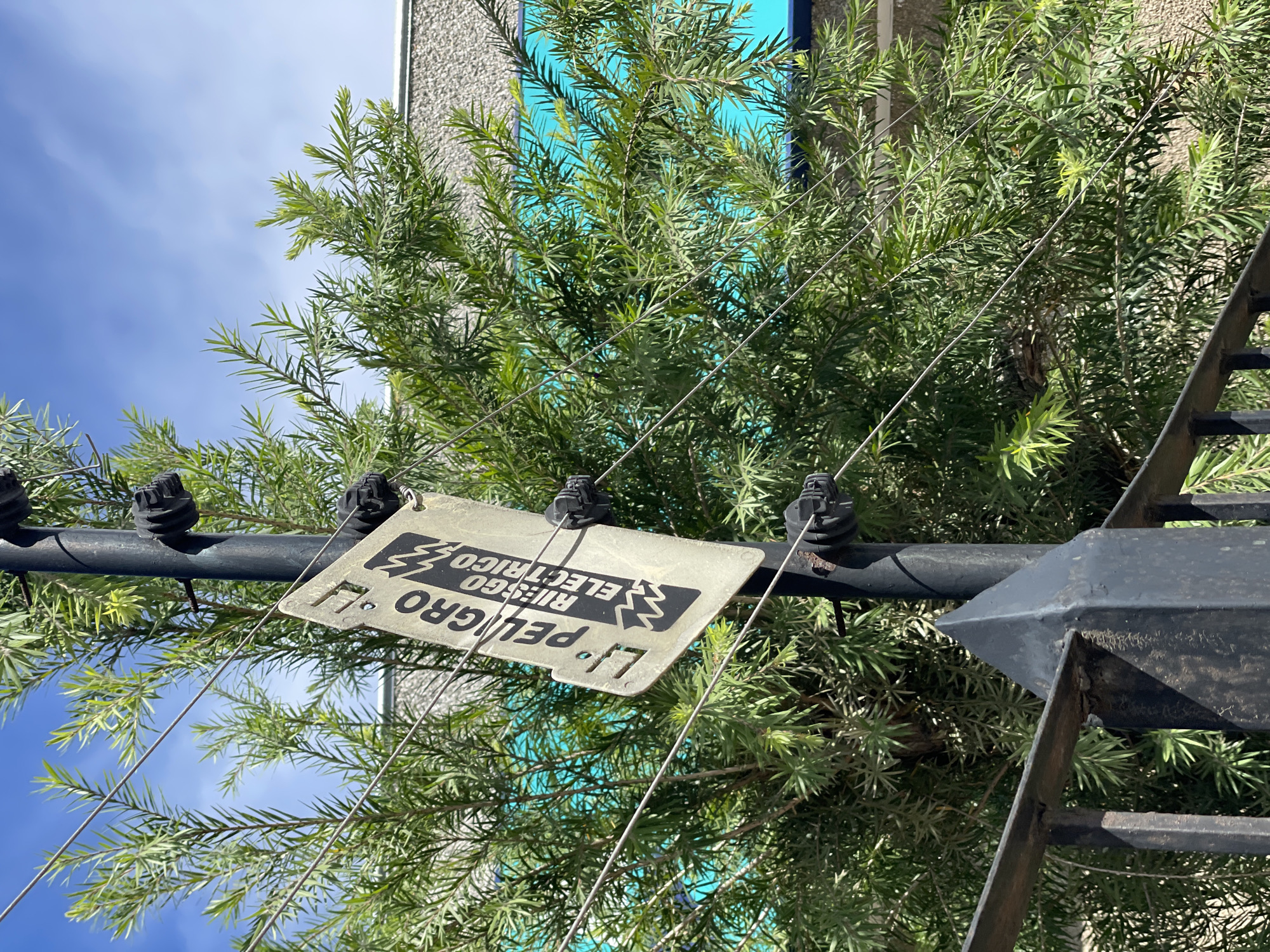 The image shows a close-up of an electrified fence post with a warning sign. The sign, which is partially obscured by tree branches, reads "PELIGRO RIESGO ELECTRICO" (Danger Electric Risk) in Spanish. The fence wires are visible running horizontally across the frame, supported by insulators attached to the black metal post. Green foliage from a dense bush or tree surrounds the post and wires, and a black metal fence is visible in the foreground. In the background, a textured building with a bright blue section is partially visible under a clear blue sky with scattered clouds. The scene appears to be outdoors in a sunny environment. The provided location is Porlamar, Venezuela, but this information is not directly discernible from the visual content of the image itself.