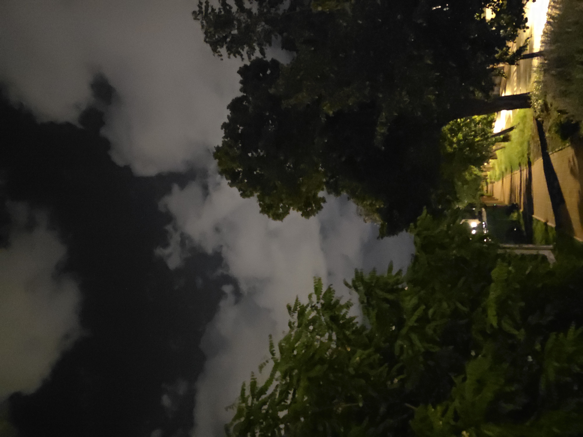 The image shows a nighttime scene with trees and cloudy sky, likely taken in Warsaw, Poland. A streetscape runs along the right edge, illuminated by streetlights. The sky is mostly dark with patchy clouds. Tree branches are visible in the foreground and midground. The setting suggests a residential area or park at night.