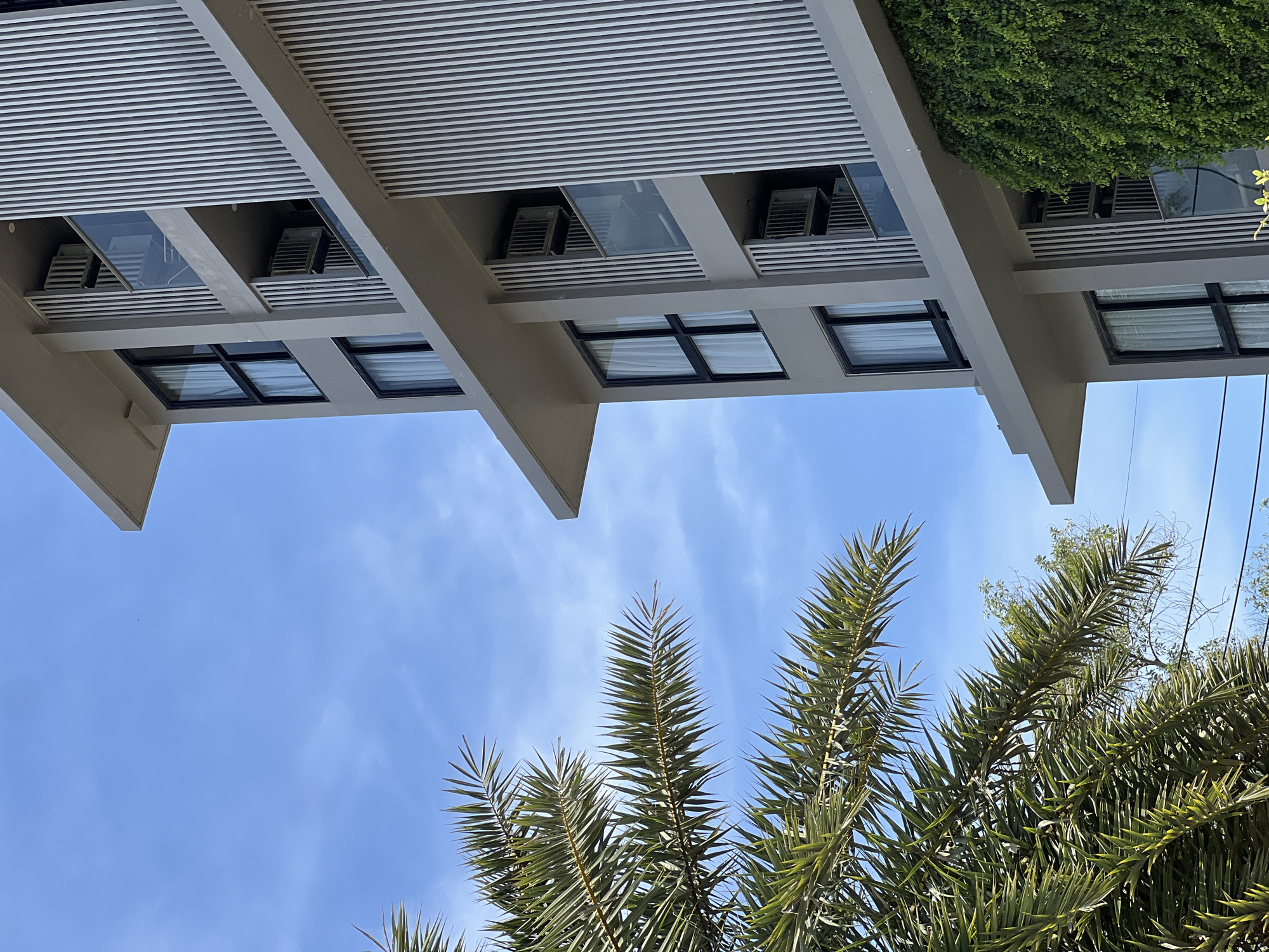 The image captures a worm's-eye view looking upwards at a modern building, a clear blue sky, and lush palm fronds. The top portion of the frame features the underside of a multi-story building, characterized by light-colored concrete beams and extensive horizontal slatted panels, likely serving as sun shades or decorative architectural elements. Recessed into openings on the building's facade, behind these slats, are several compact outdoor air conditioning units. Below, multiple rectangular windows with dark frames are visible, some reflecting the sky, while others show light-colored internal blinds. On the upper right side of the building, a section is densely covered with vibrant green foliage, resembling ivy or a vertical garden. The middle section of the image is dominated by a bright, clear blue sky with a few faint, wispy white clouds. In the lower and right portions, several large, spiky green fronds of palm trees extend upwards, adding a tropical touch to the scene. The overall setting suggests a warm climate, possibly a resort or residential area. No specific activity is taking place, and there is no visible text. The scene appears to be well-lit, indicating daytime, likely under sunny weather conditions.